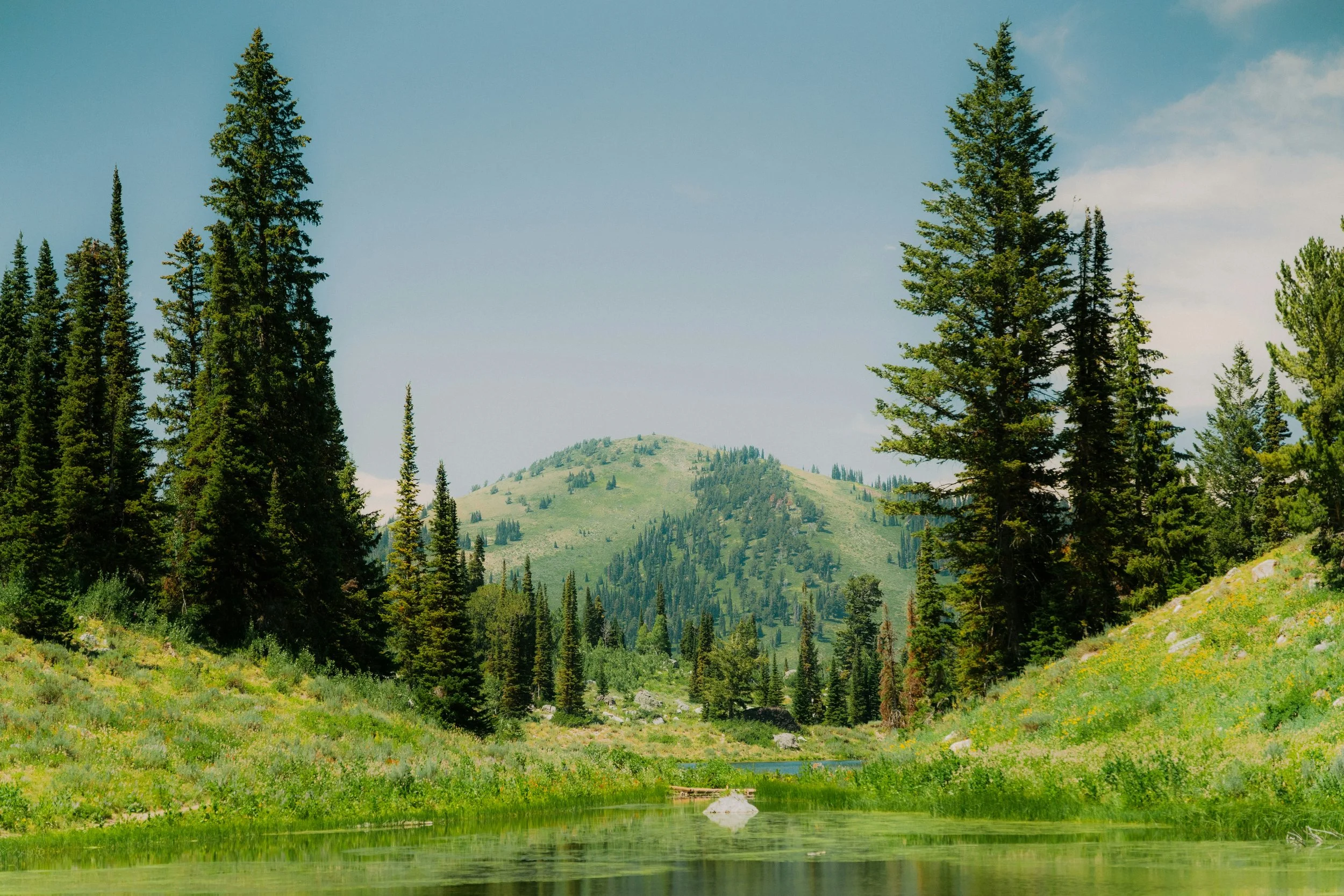 The Data You’re Ignoring Is Costing You