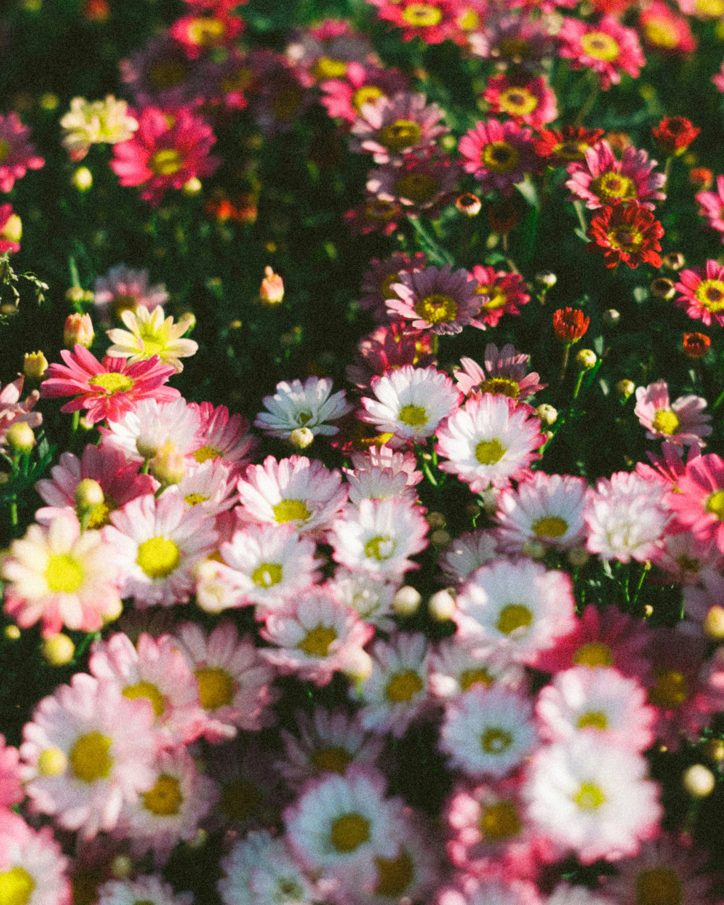 Why We Ask So Many Questions on Day One