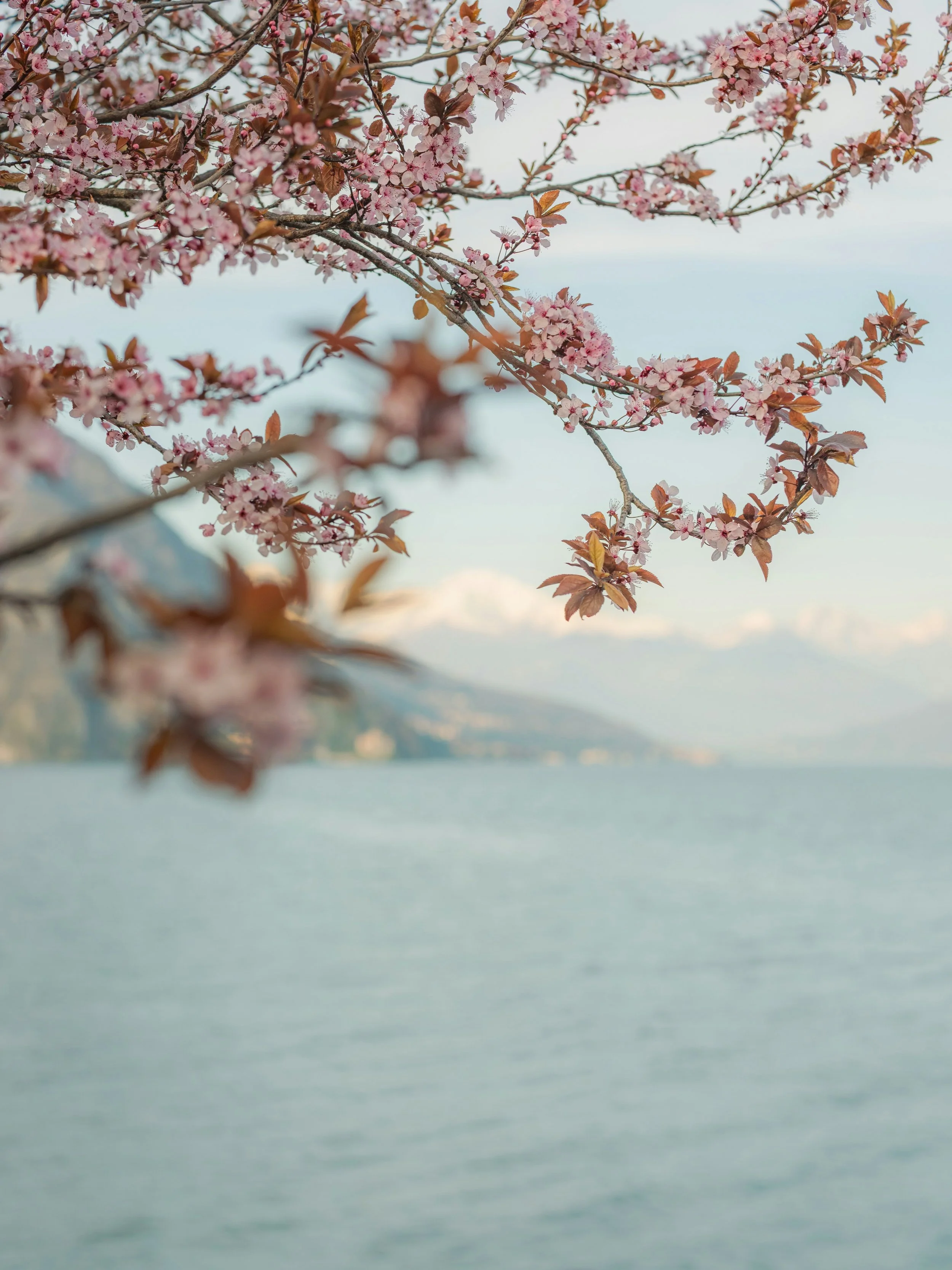 The First 90 Days with a Fractional CXO