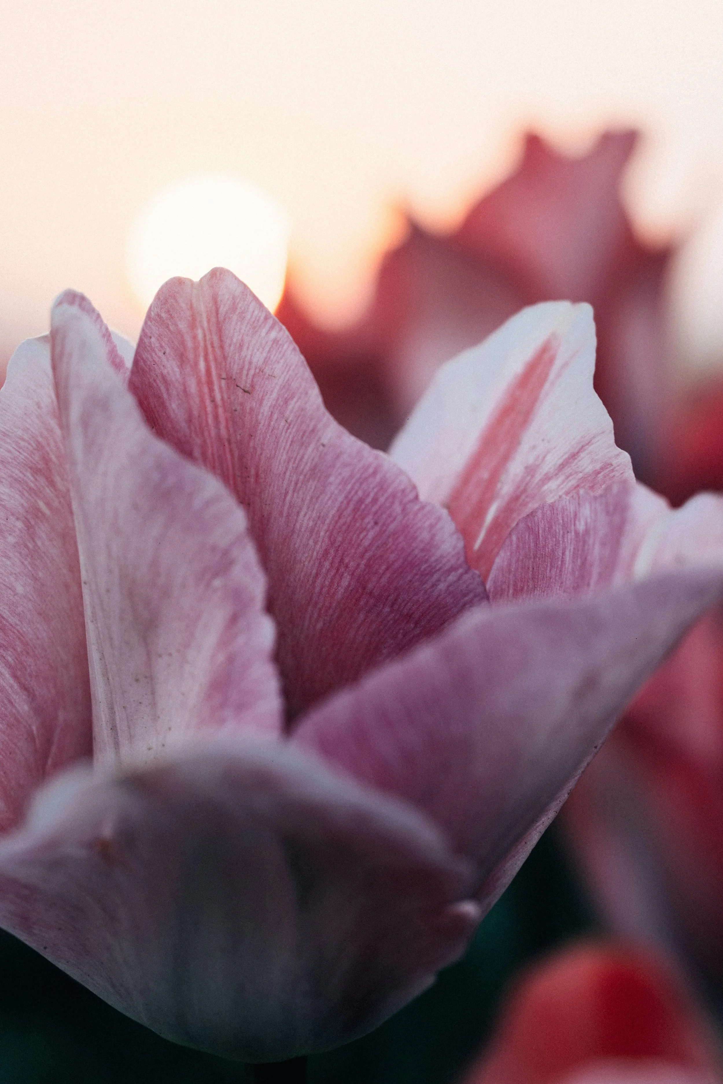 The Leadership Cadence That Doubles Execution Speed