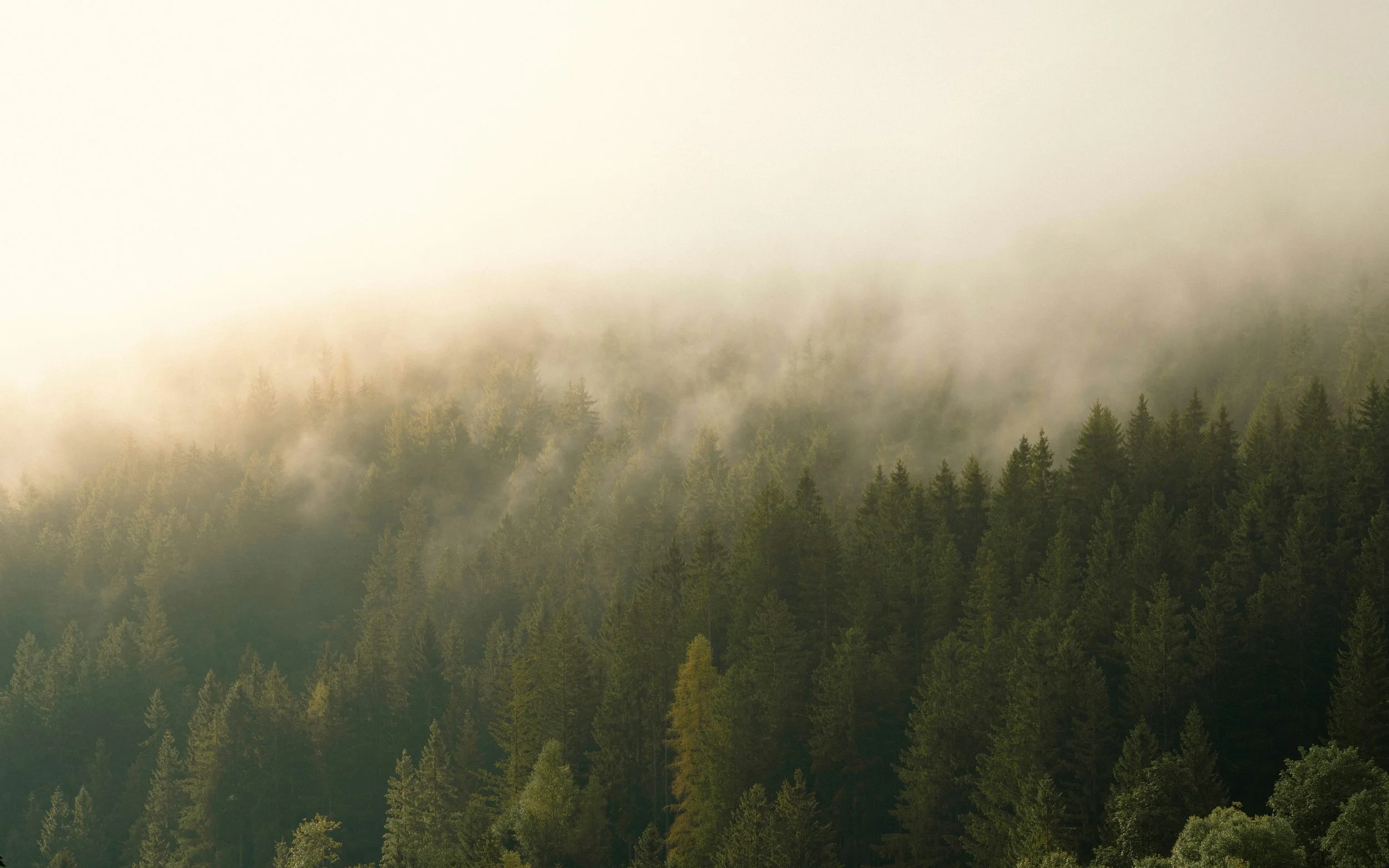 How to Create a Healthy Merger Culture