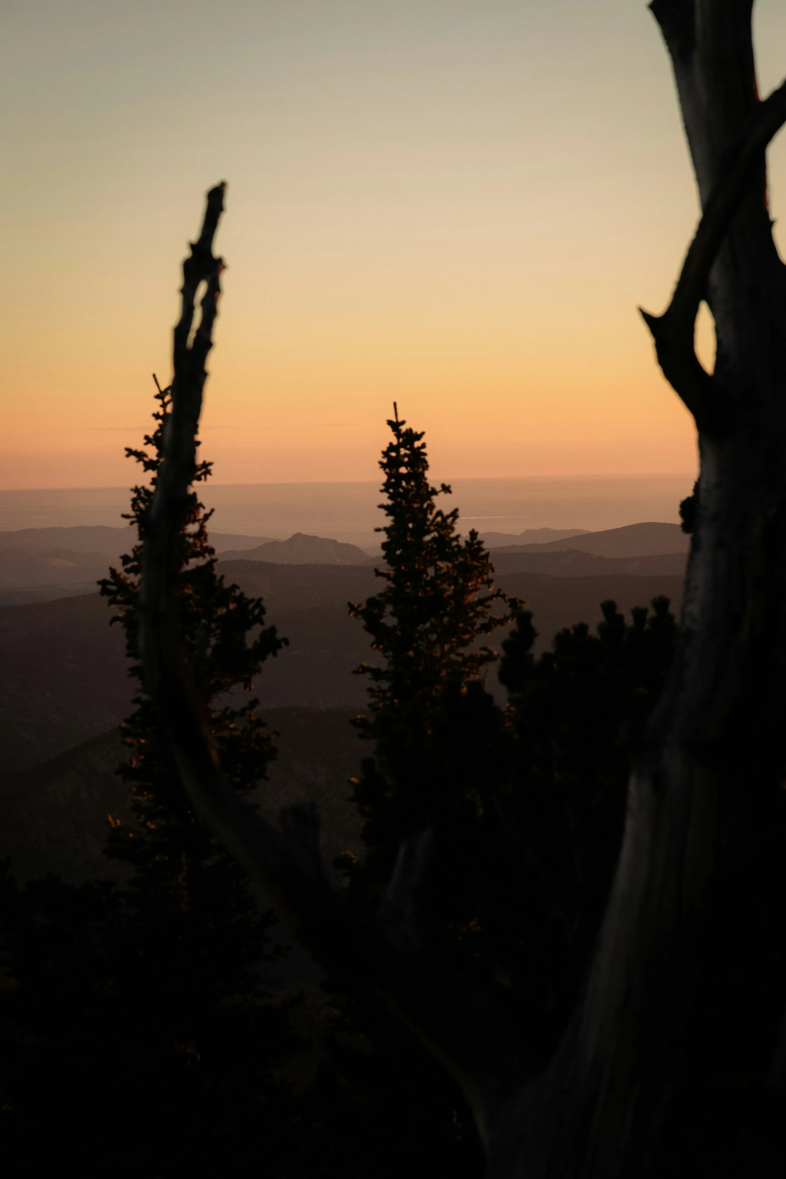 Decision Fatigue: The Silent Killer of Leadership Clarity