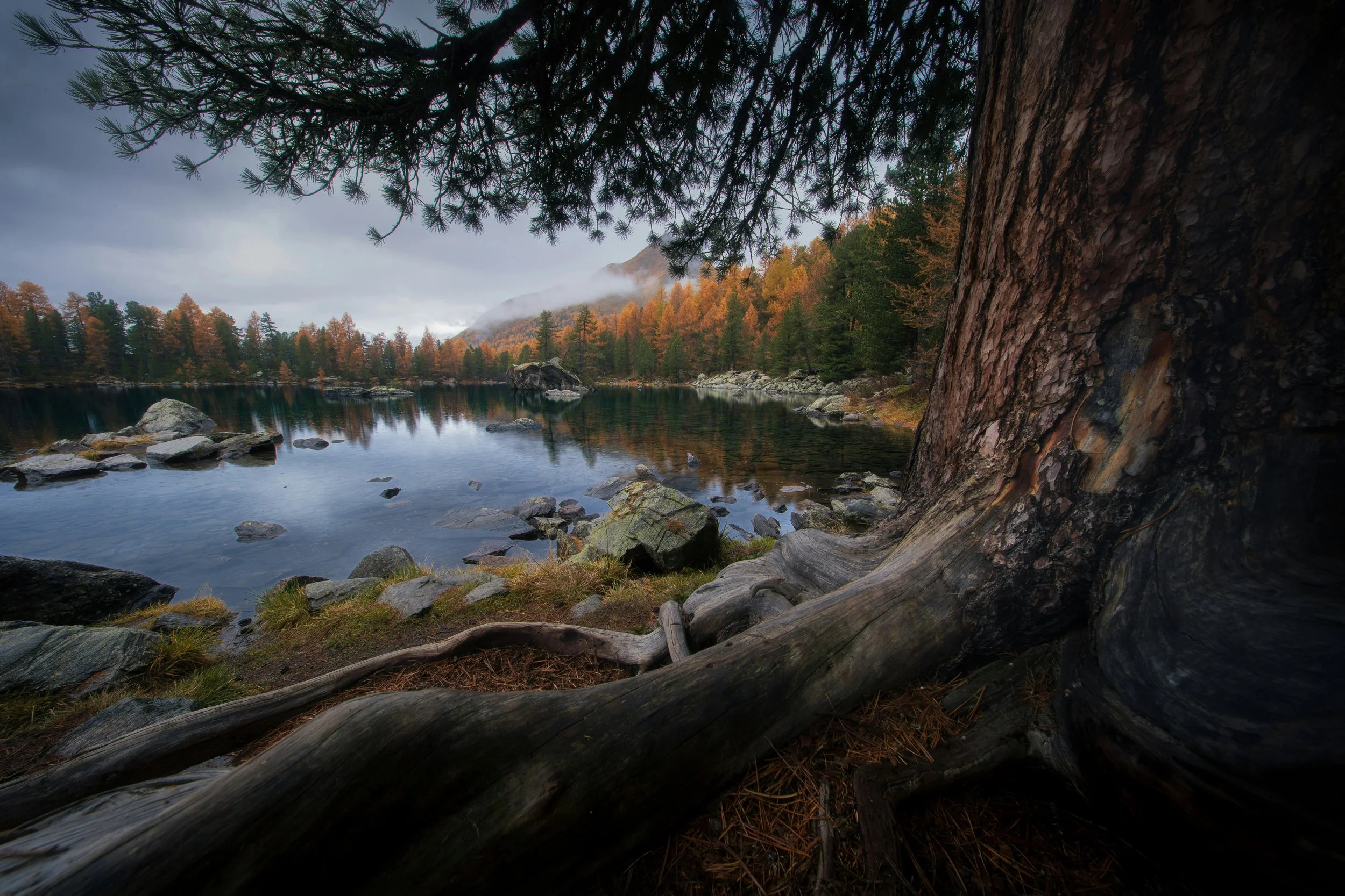 Broken Commitments as a Mirror