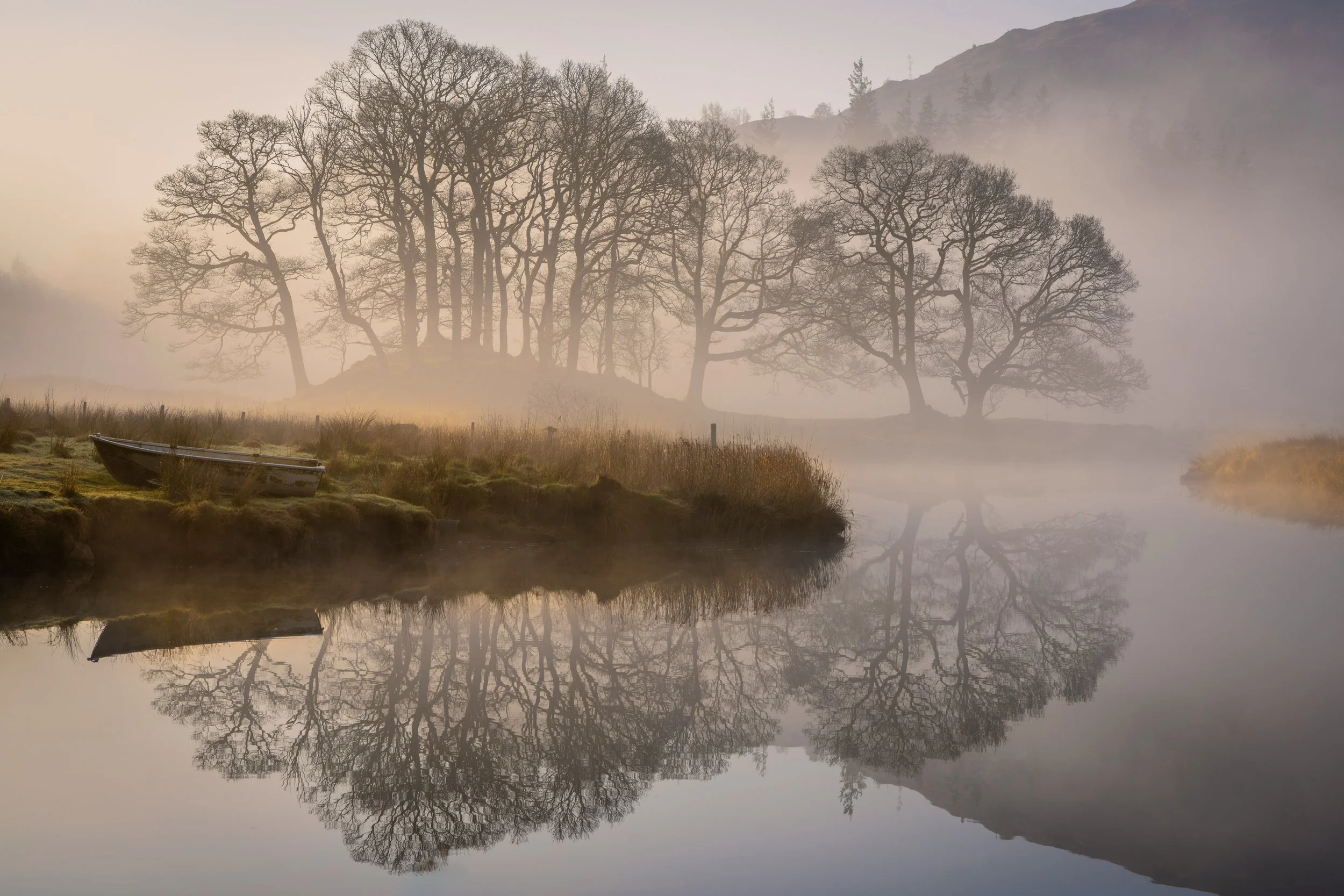 Expectation vs. Agreement