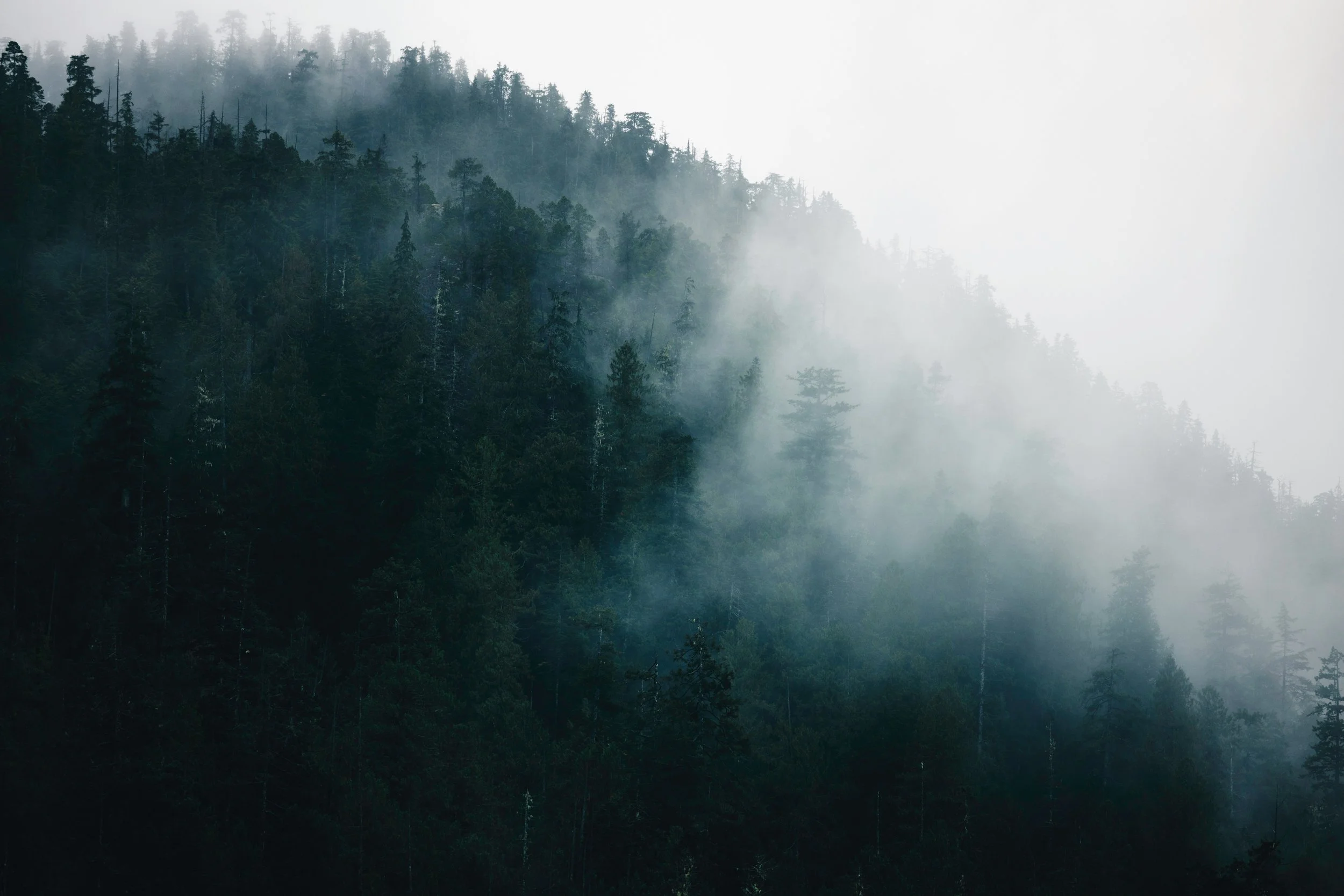 Transform vs. Consult