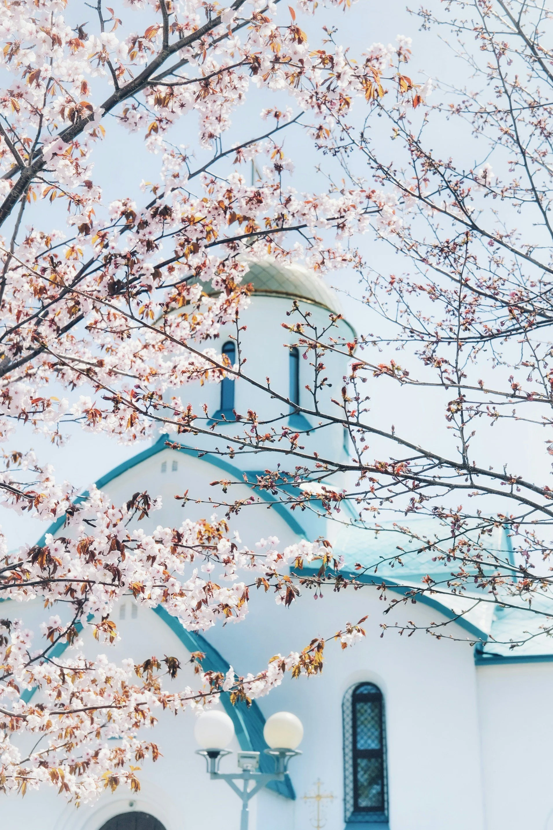 How Visionaries Reclaim Freedom Without Losing Control