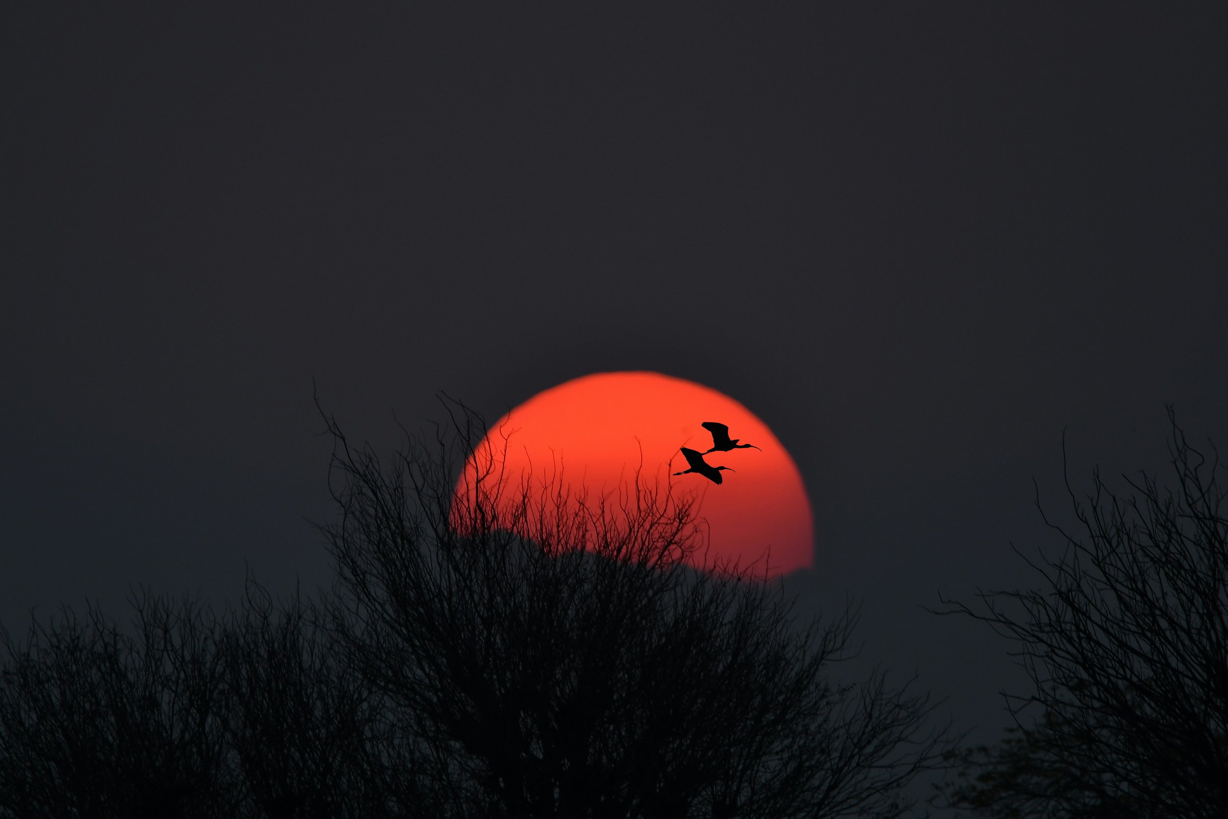 The Moment the Founder Stepped Back—and the Business Stepped Up