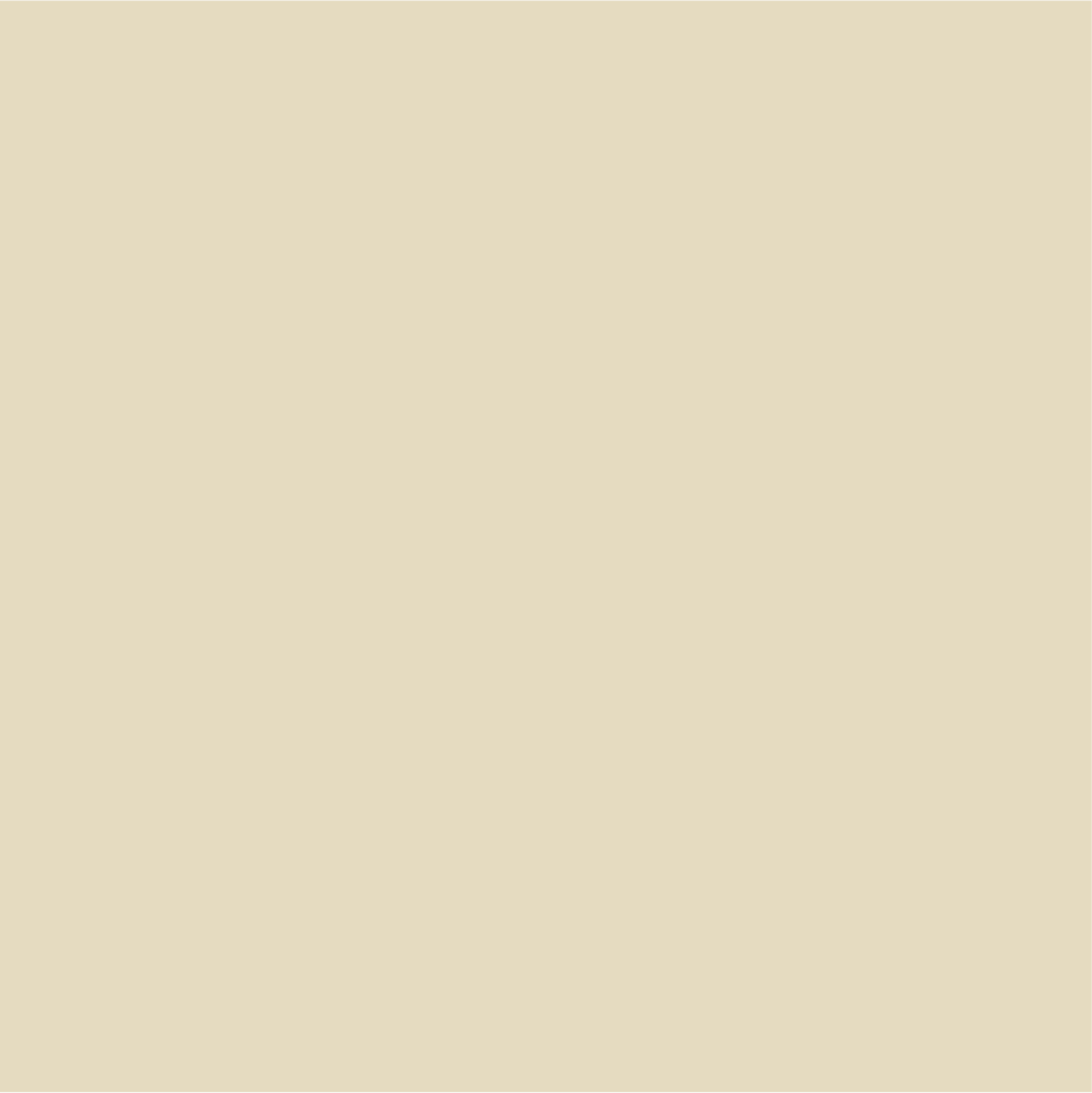 7246 Sand Shell