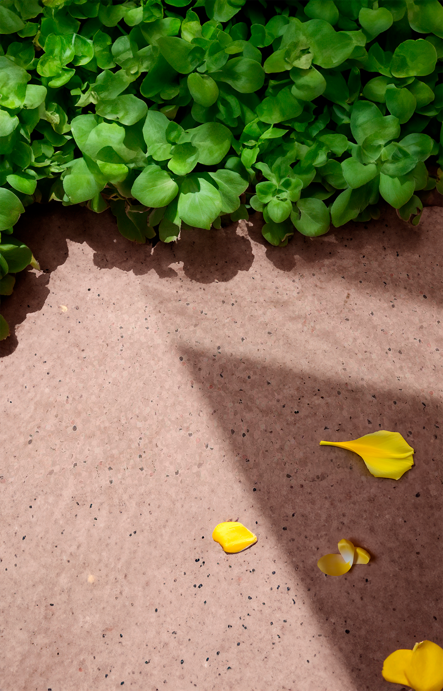 VØRK Hygge piso homogéneo antibacteriano y antiestático para espacios institucionales | VØRK (Gerflor Tarkett Polyflor)