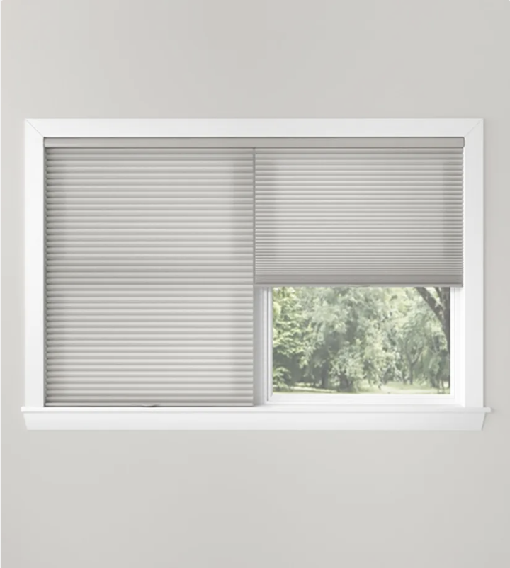 Screenshot 2024-12-03 at 10.28.49 AM.png