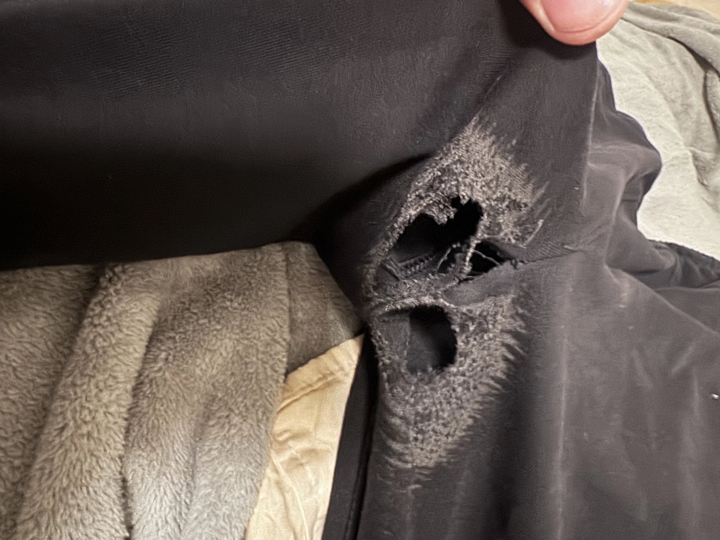 Old Navy Active Dynamic fleece Joggers: Mileage May Vary (Apparently more than advertised)