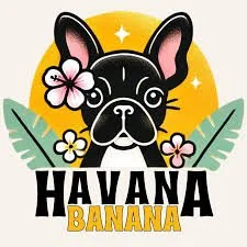 Havana Banana Review The Plantain Stand That Literally Made Us Turn Around
