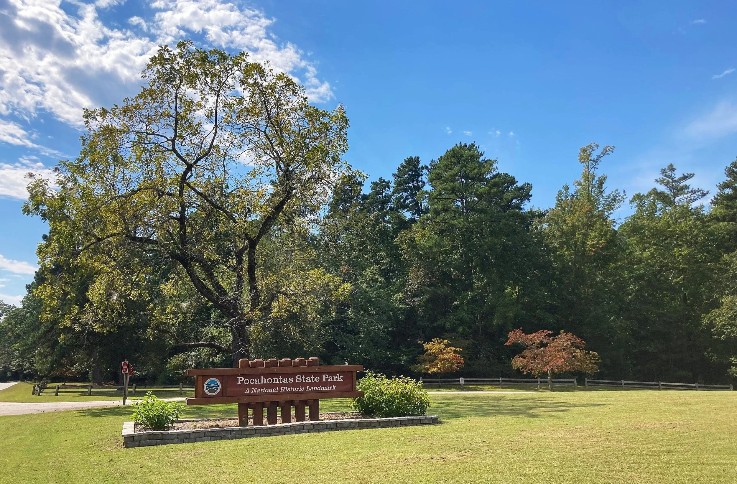 A Single Tree Is Helping This Small Business Benefit Its Community