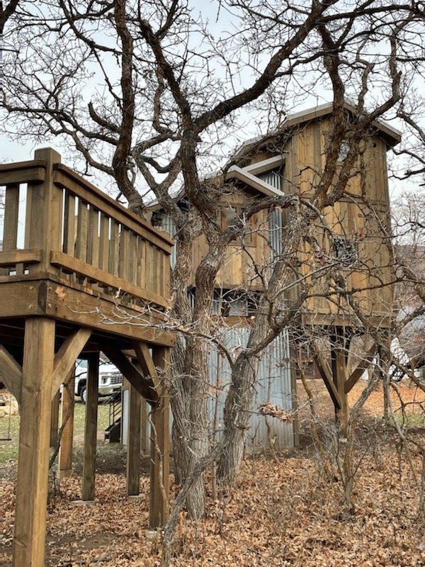 tree18.jpg