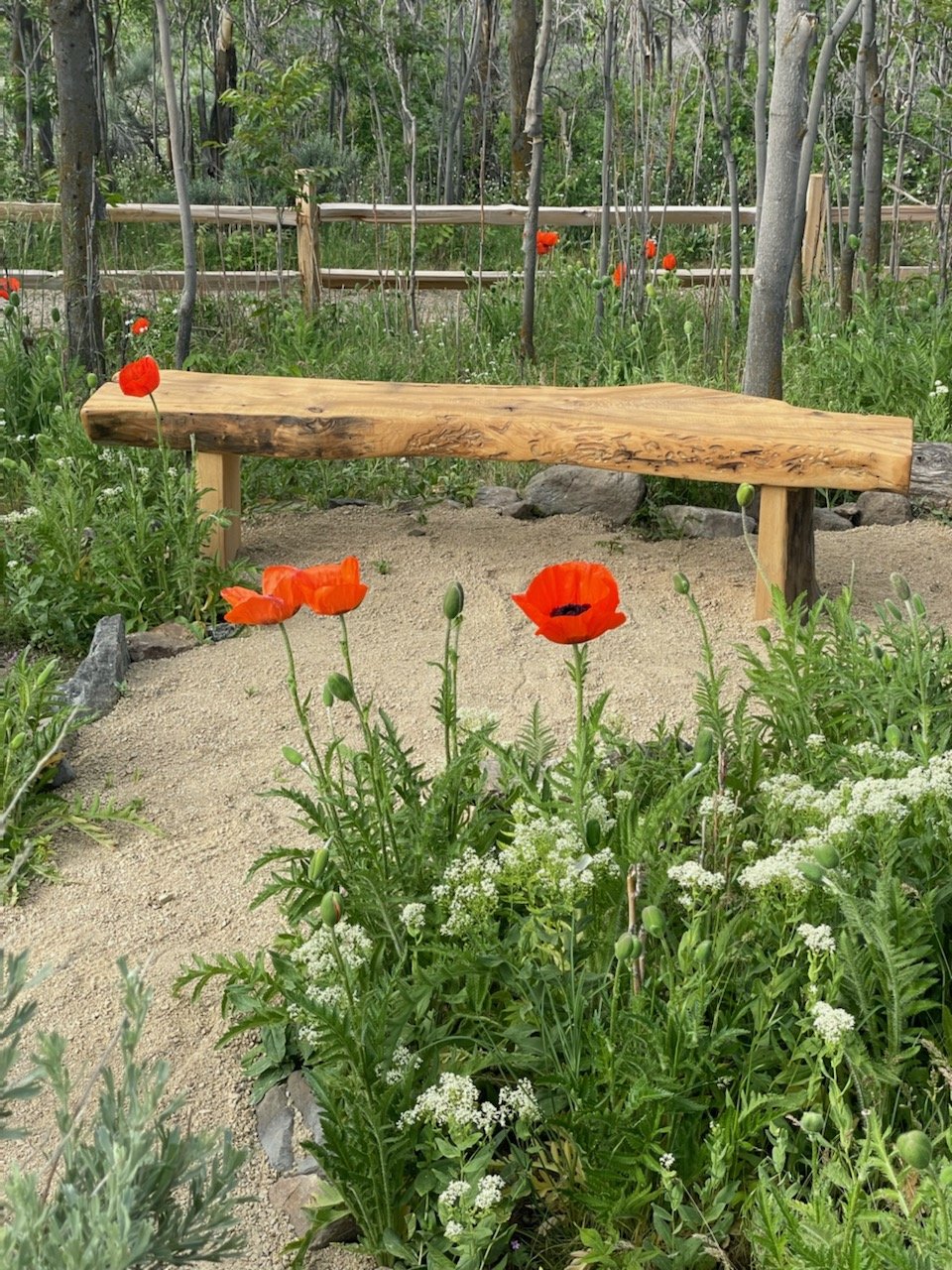 park bench 3.jpg