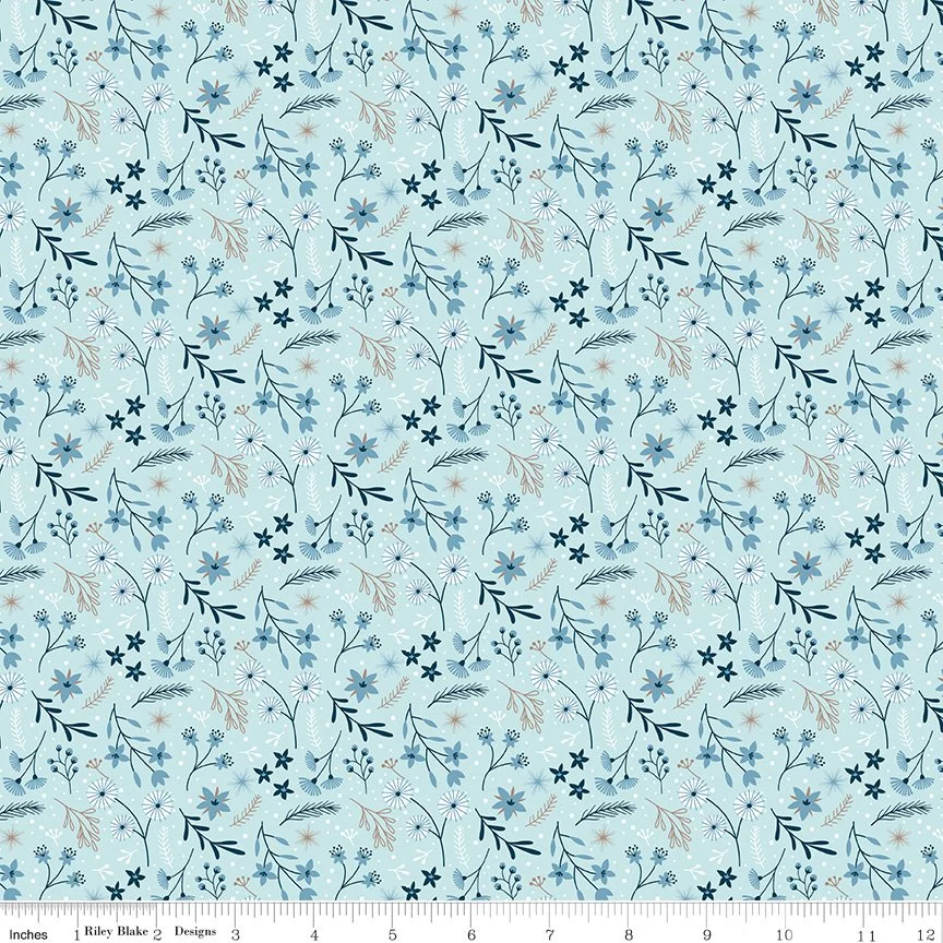 C16361-AQUA-72dpi-wruler.jpg