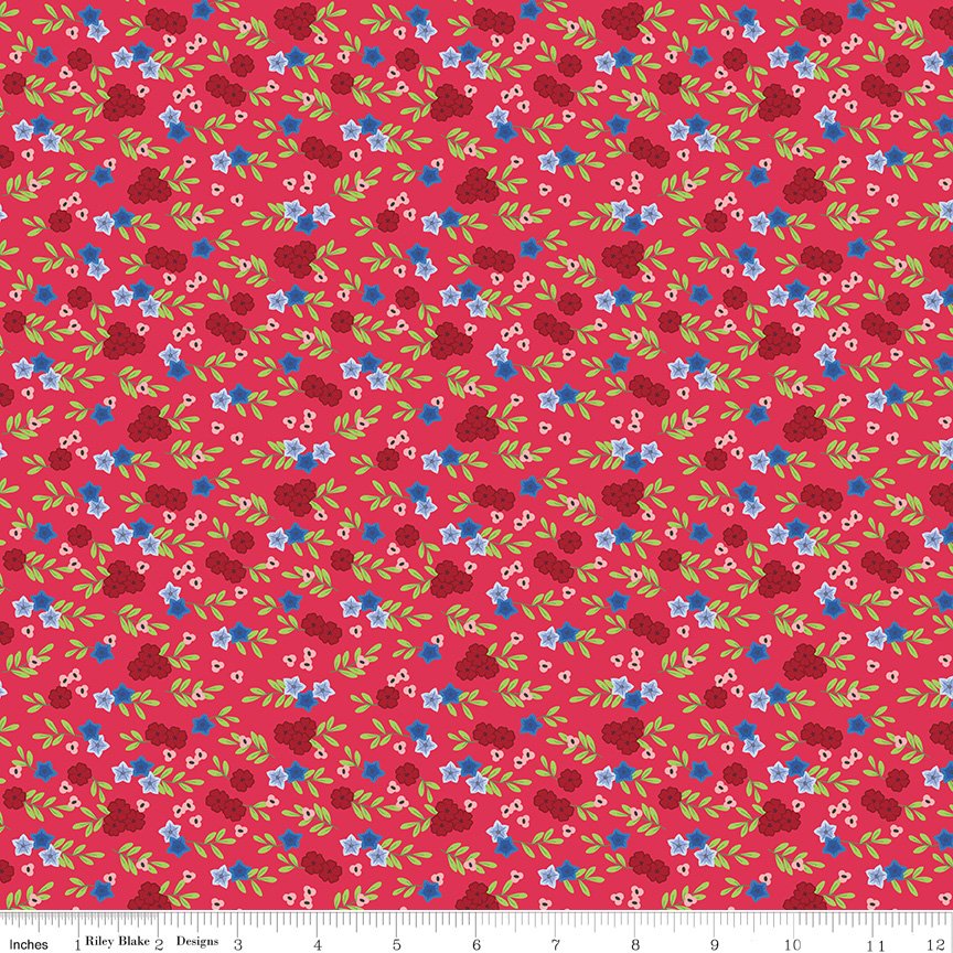 C16184-RED-72dpi-wruler.jpg