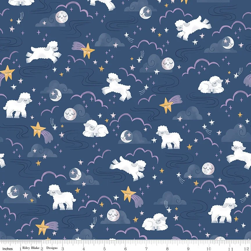 C16300-NIGHTTIME-72dpi-wruler.jpg