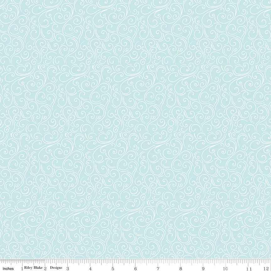 C16366-AQUA-72dpi-wruler.jpg
