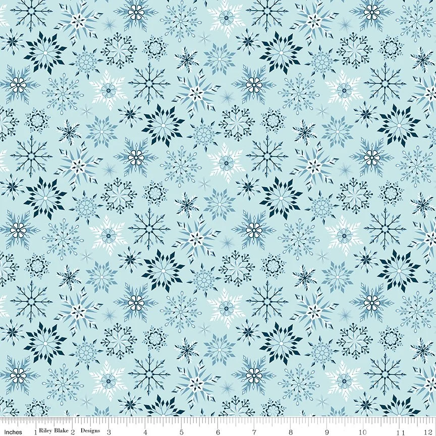 C16365-AQUA-72dpi-wruler.jpg