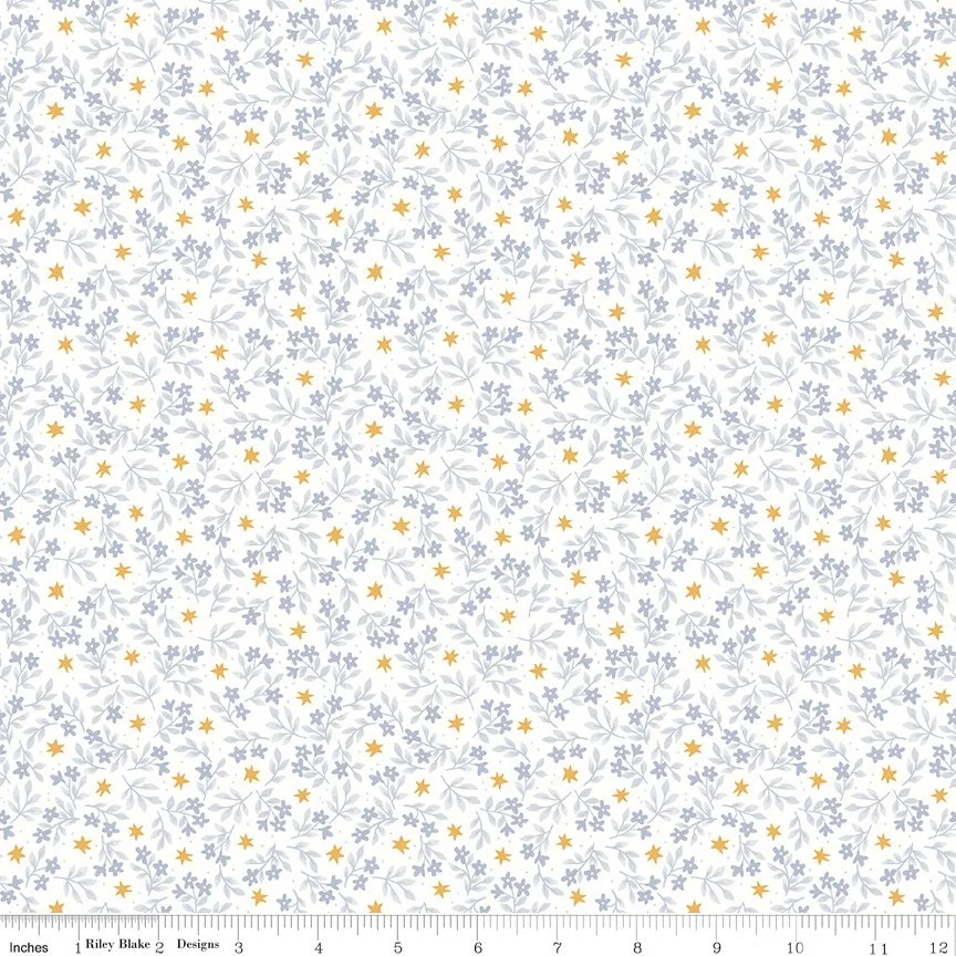 C16305-CLOUD-72dpi-wruler.jpg