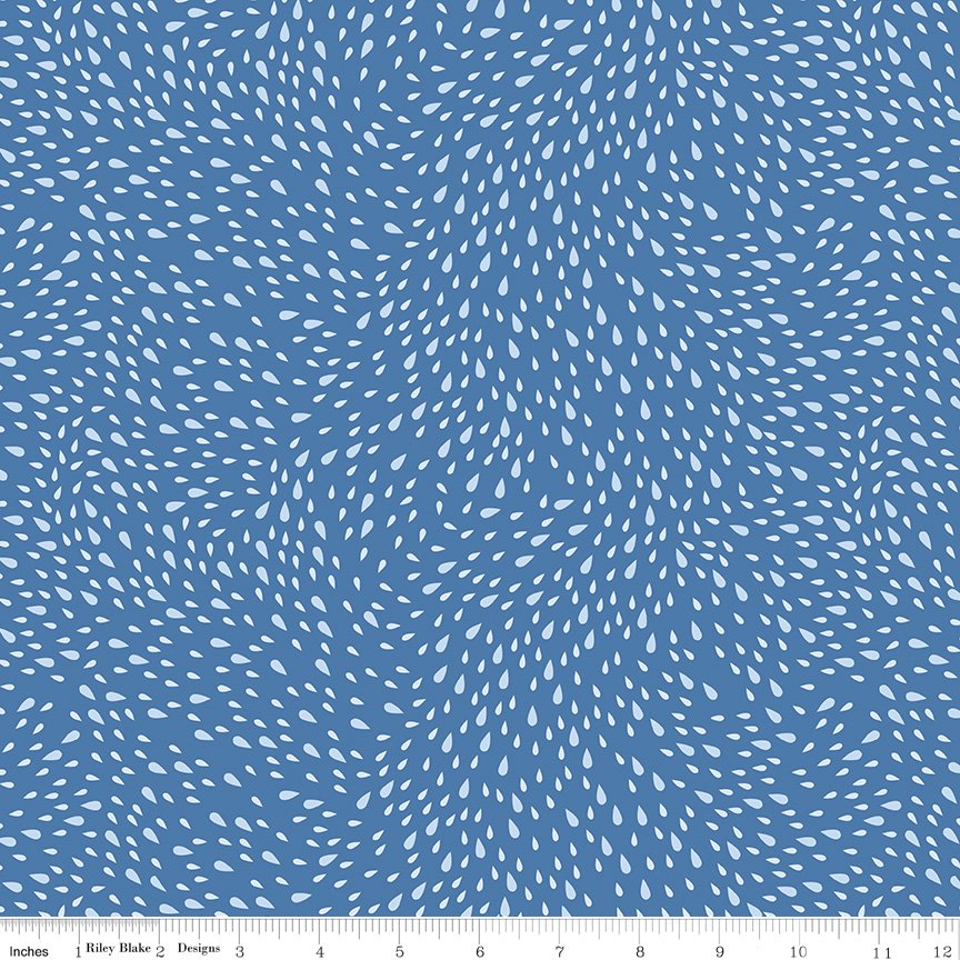 C16185-BLUE-72dpi-wruler.jpg
