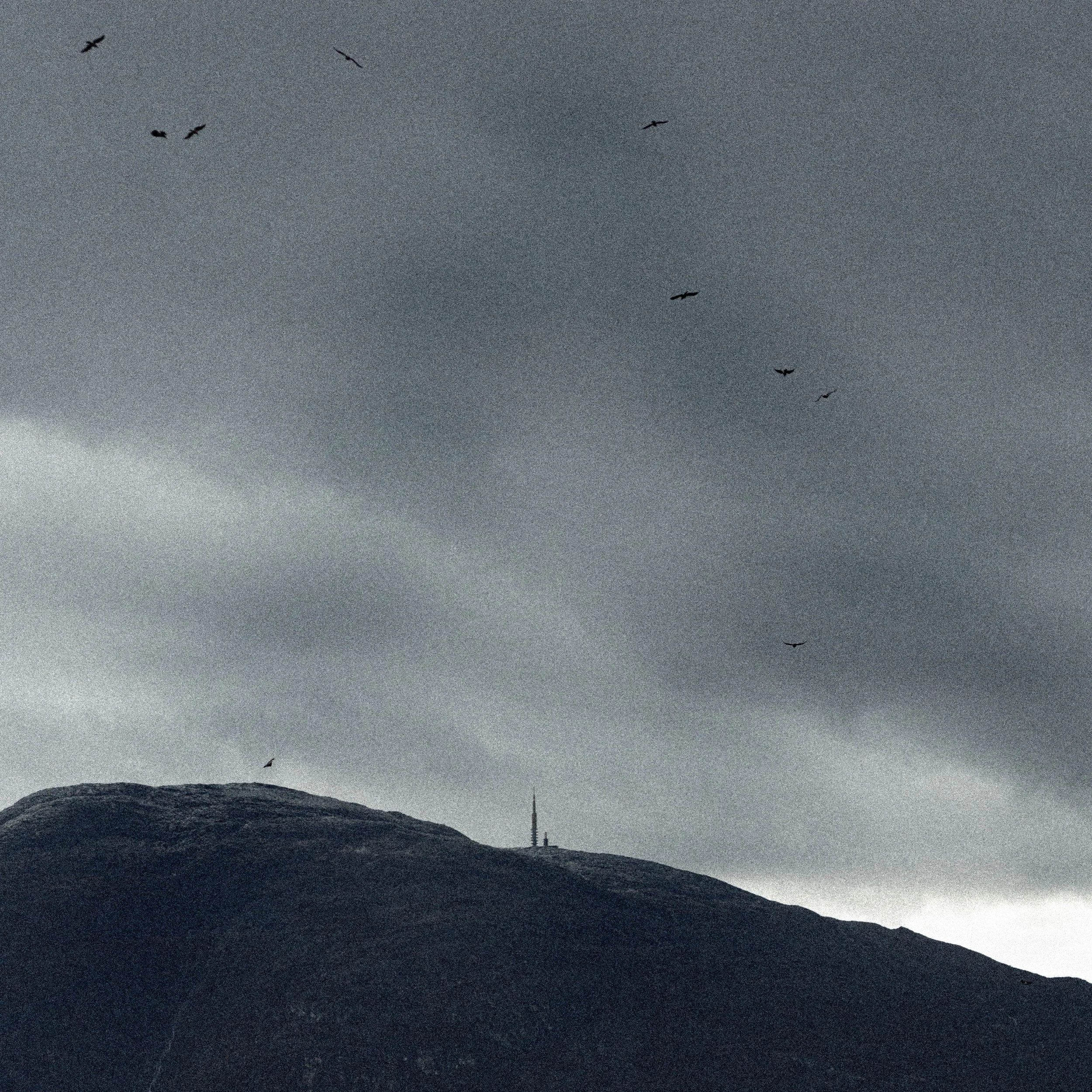 Bad habits cover - gul tone-grå.jpg