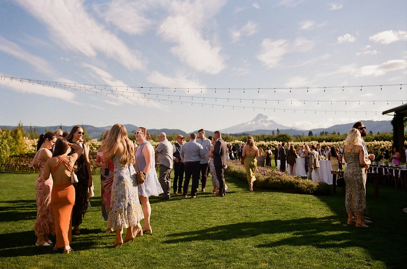The Orchard Wedding-Film-48.jpg
