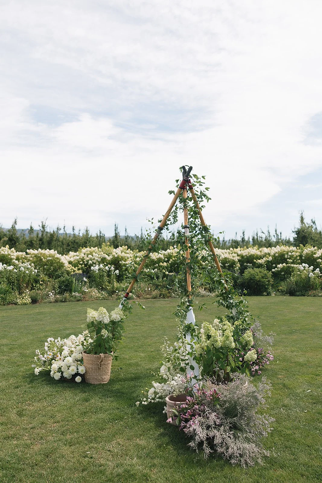 the-orchards-hood-river-wedding-photos-27.jpg