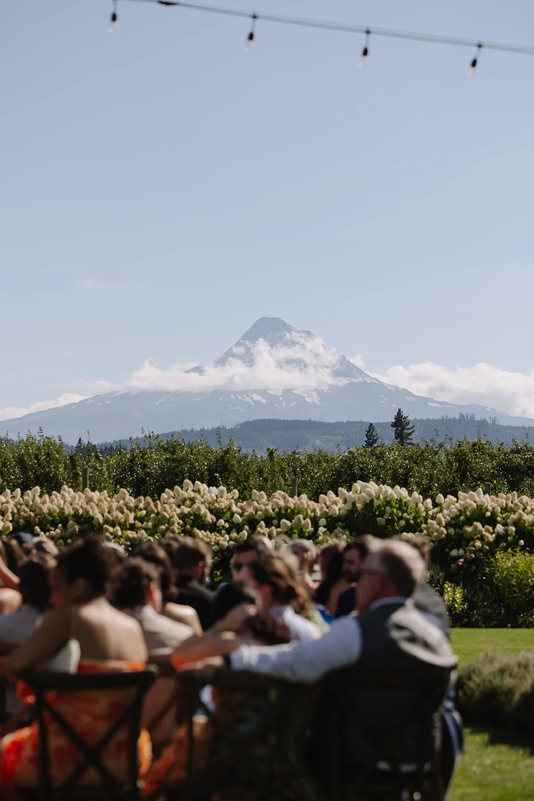 The Orchard Wedding-Maegan and Carter-Ceremony-24.jpg