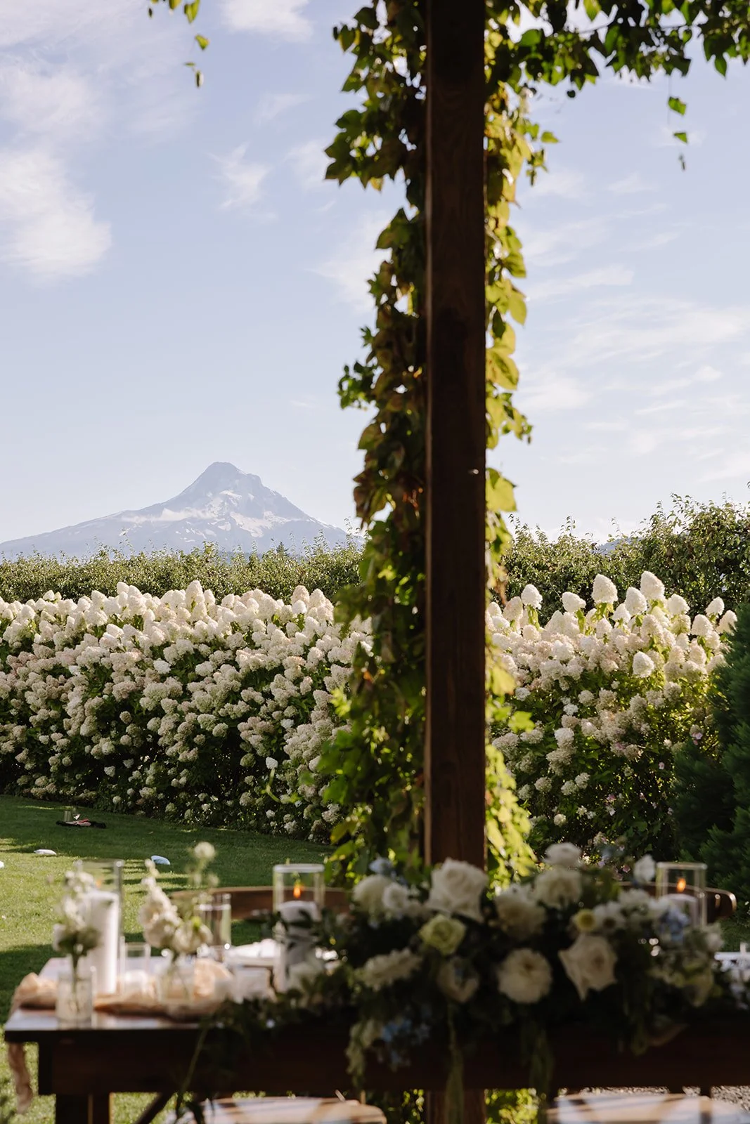 The Orchard Wedding Hood River-Maegan and Carter-137.jpg