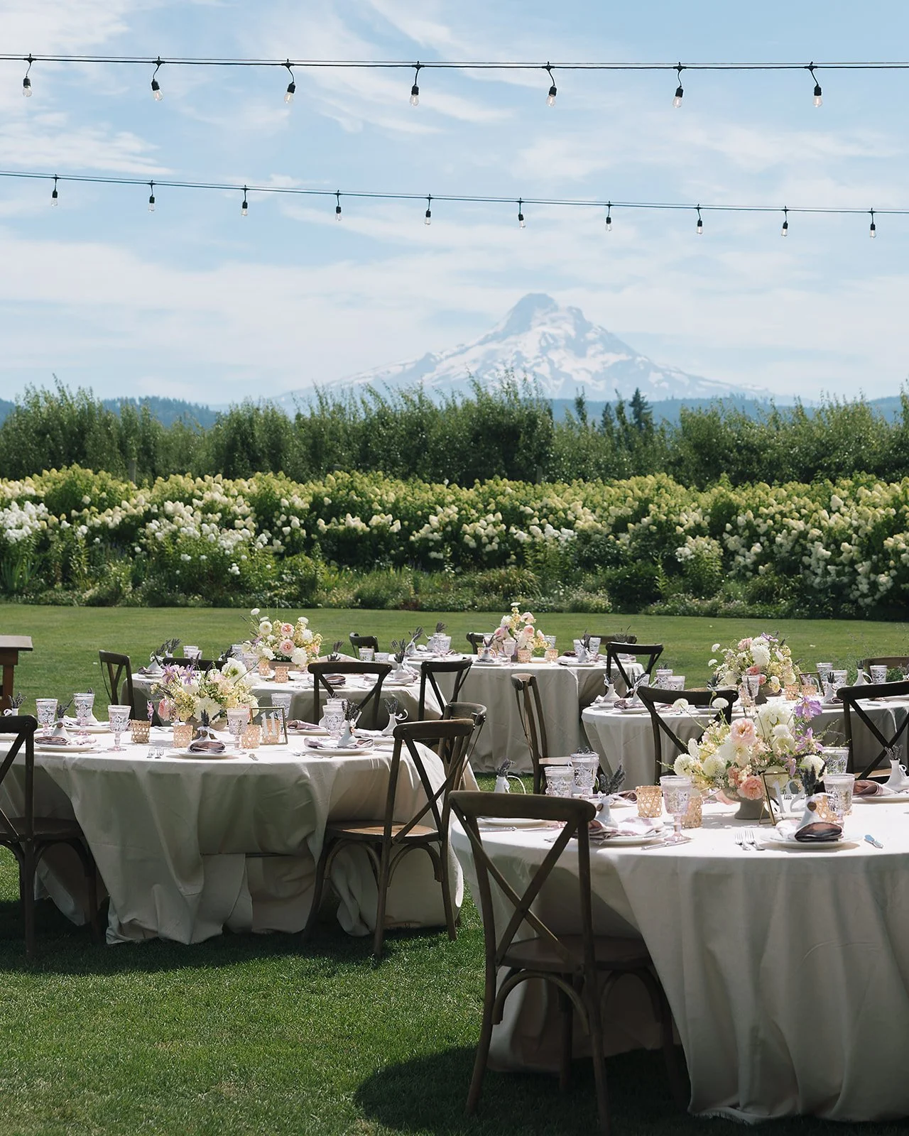 the-orchards-hood-river-wedding-photos-72.jpg