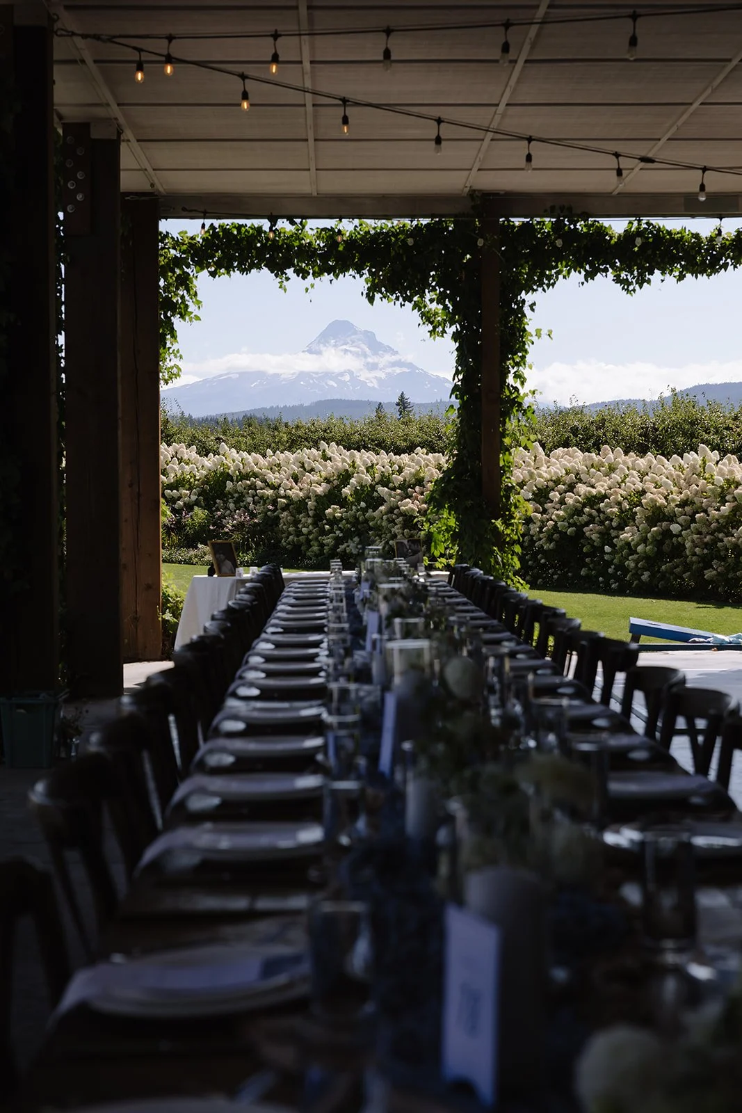 The Orchard Wedding Hood River-Maegan and Carter-79 (1).jpg