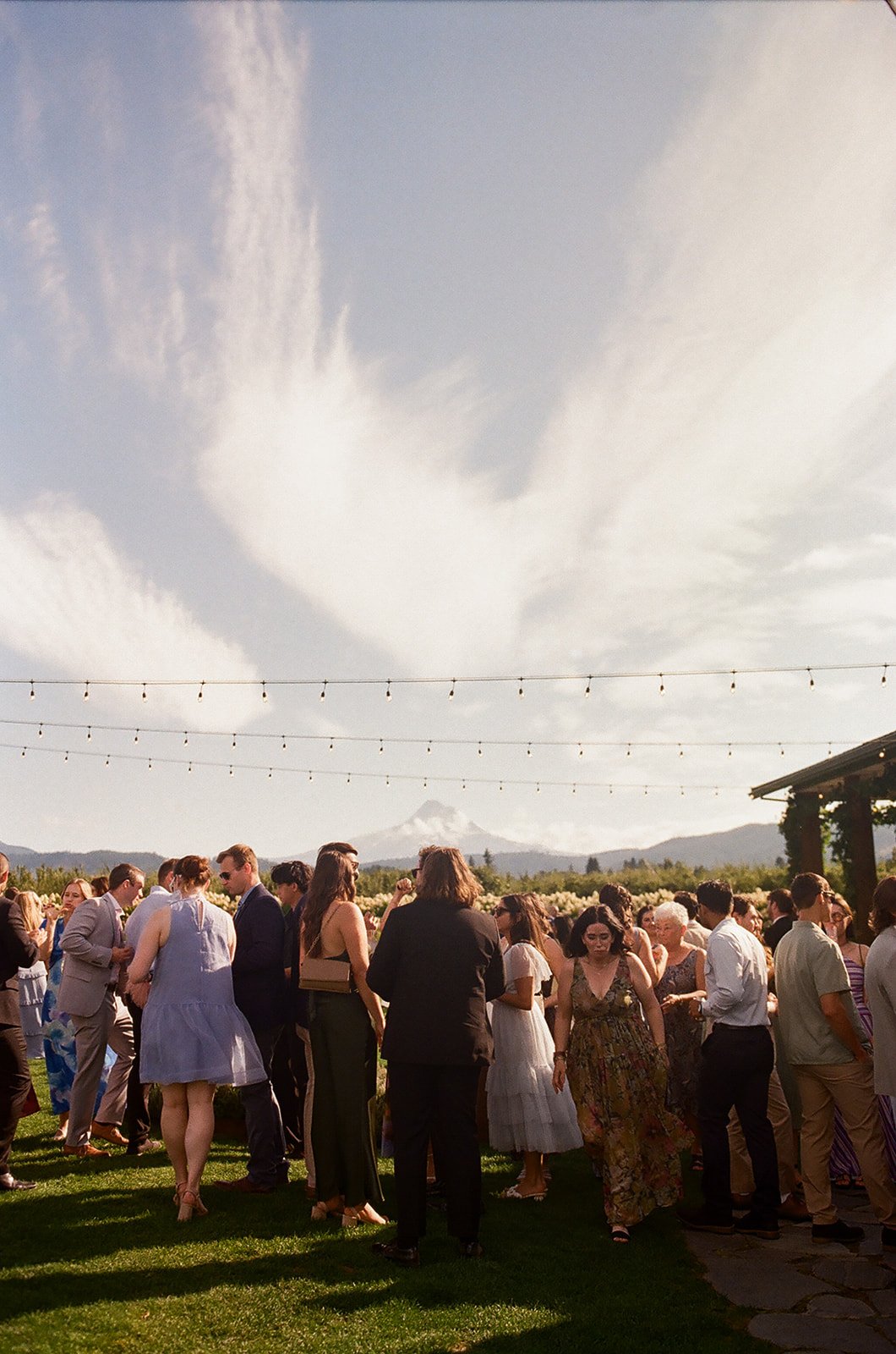 The Orchard Wedding-Film-44.jpg