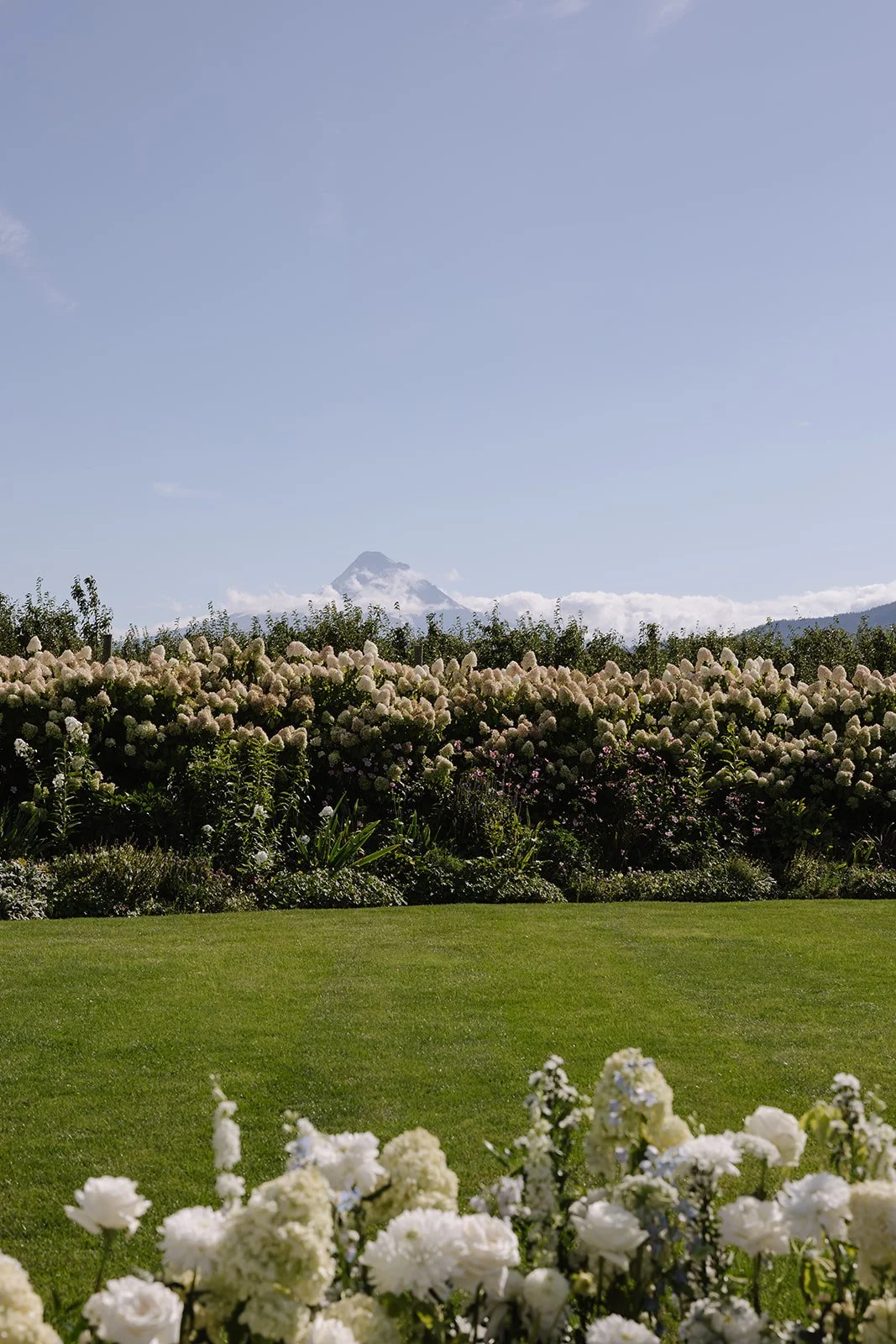 The Orchard Wedding-Maegan and Carter-Ceremony-23.jpg