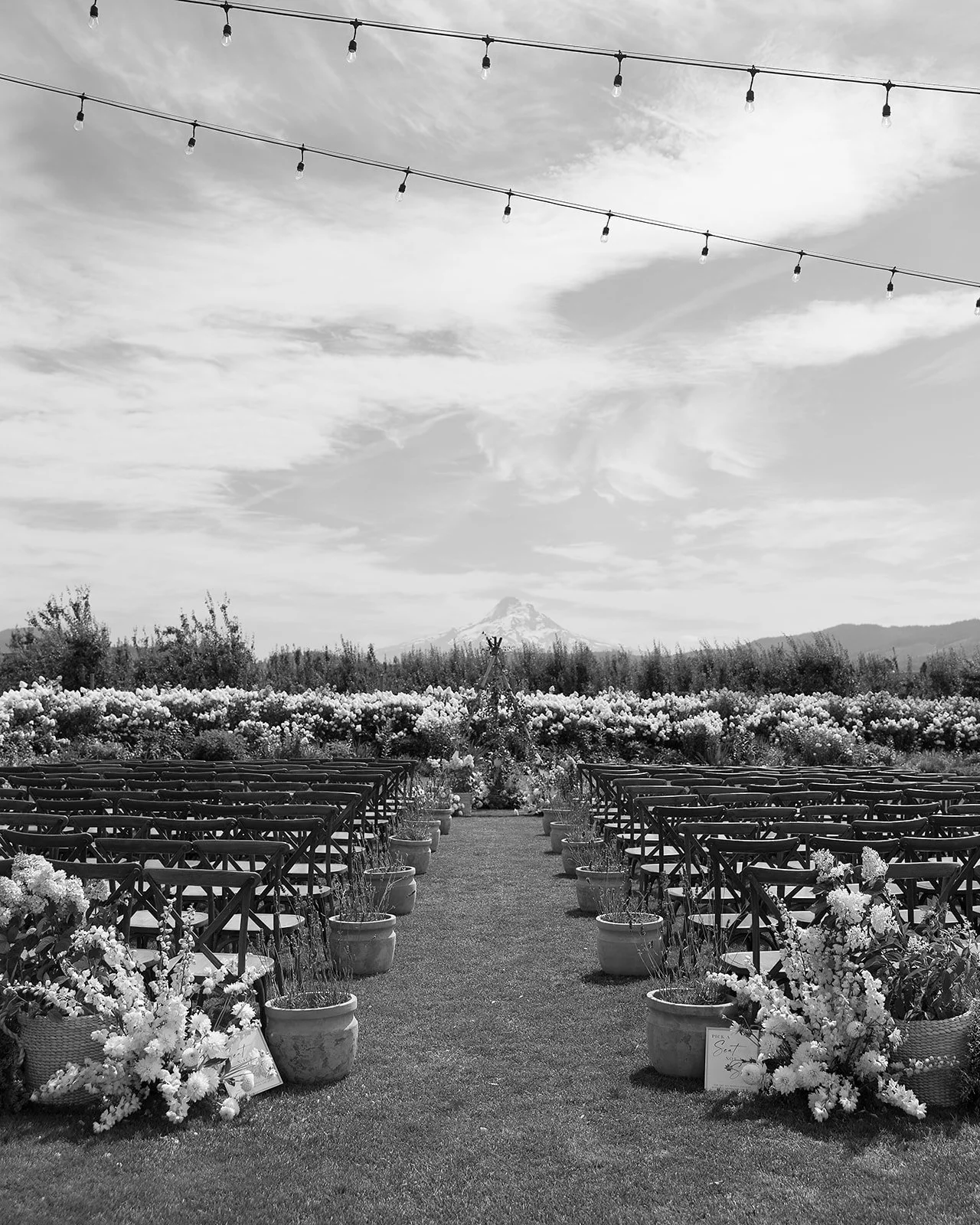 the-orchards-hood-river-wedding-photos-58.jpg