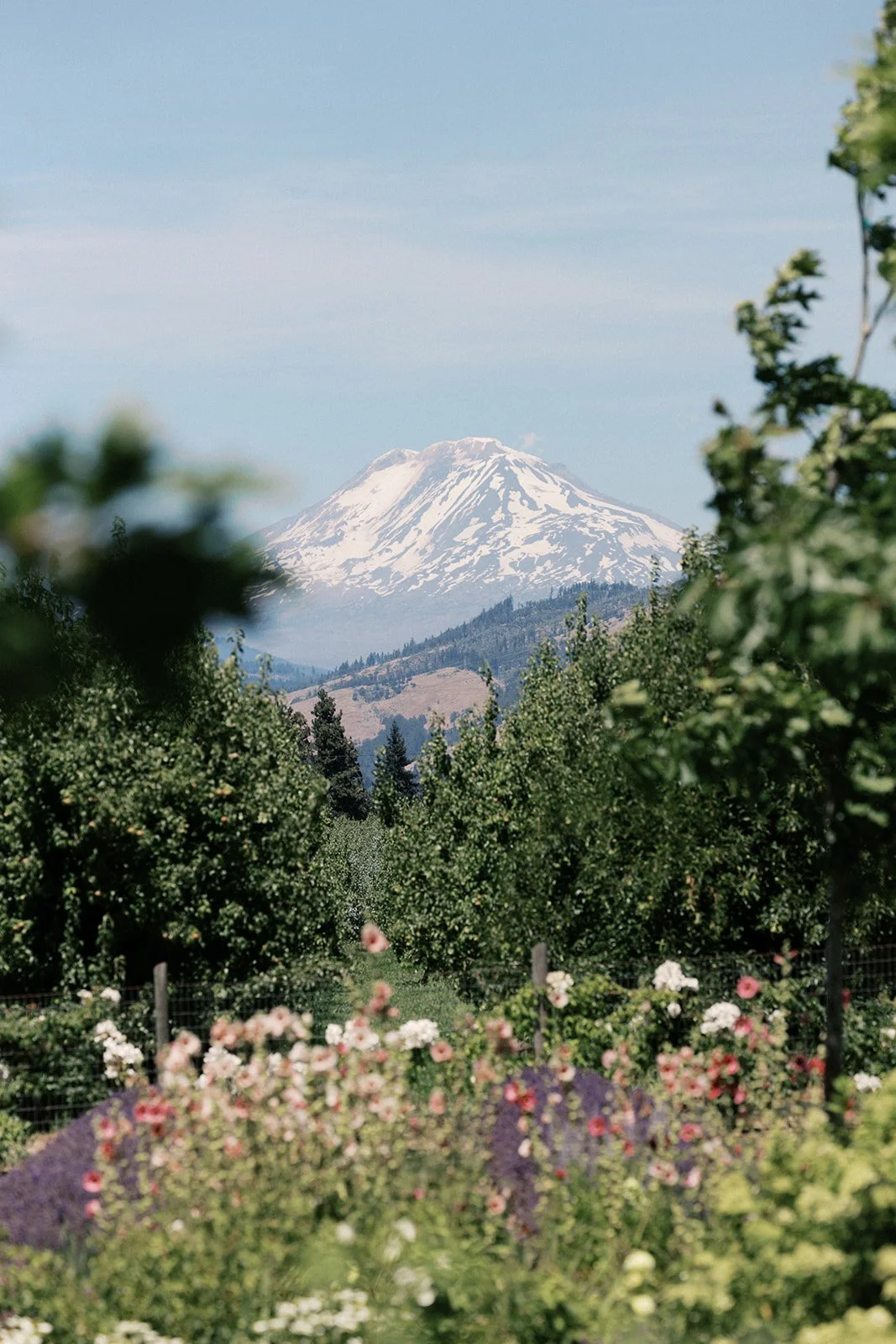 SA wedding 240-2.jpg