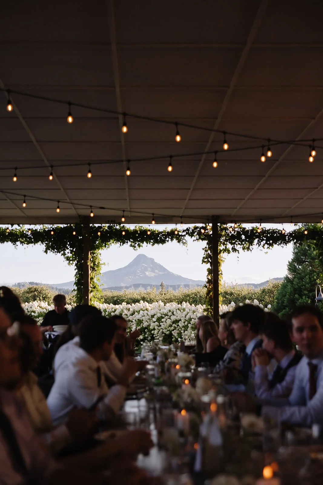 The Orchard Wedding Hood River-Maegan and Carter-148.jpg