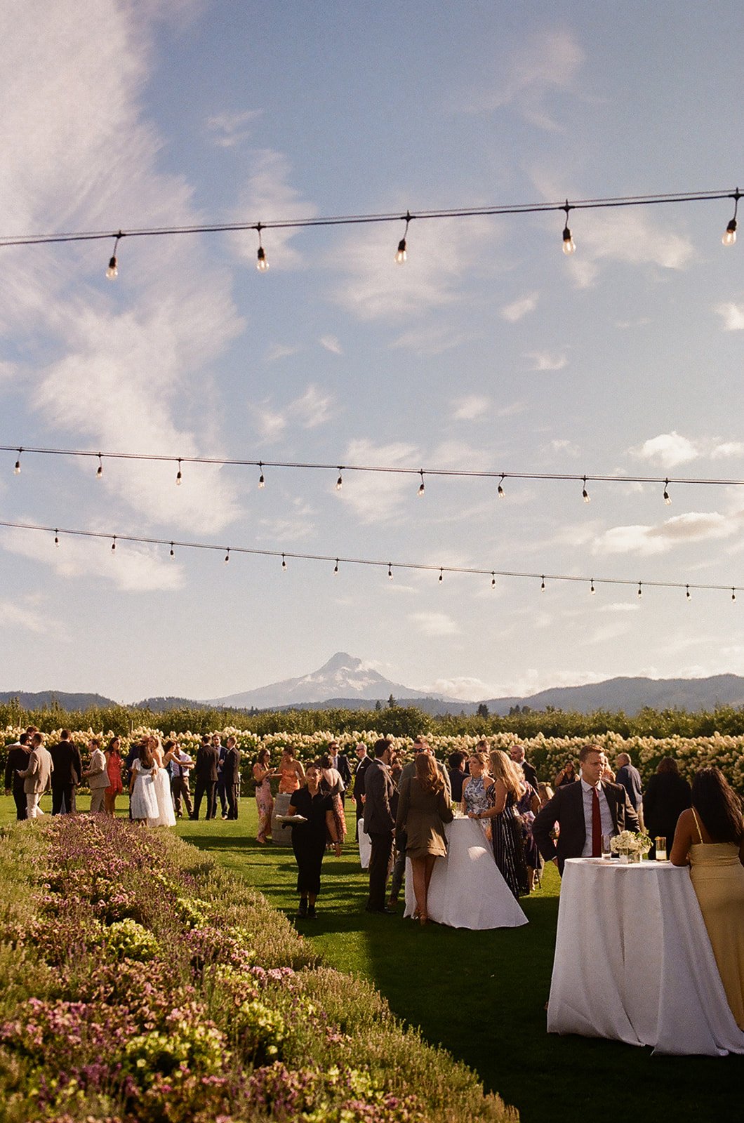 The Orchard Wedding-Film-49.jpg