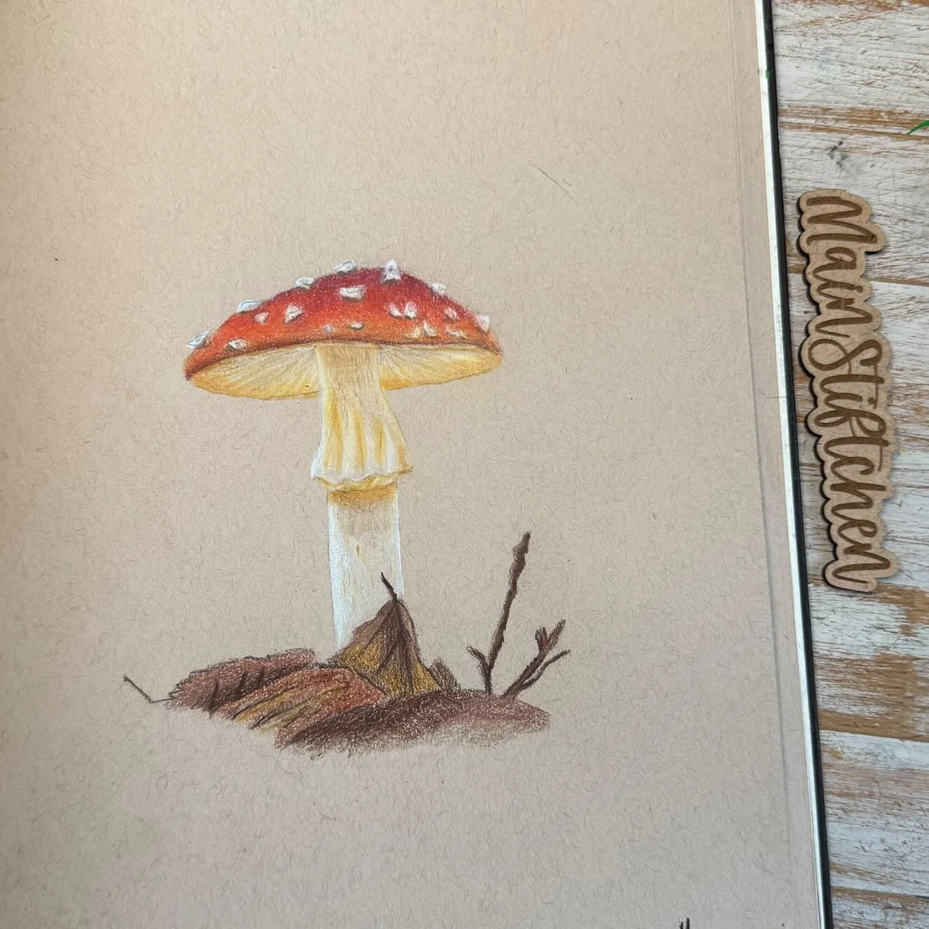 ✵.｡.✰ Buntstiftgruppe 4 ✰.｡.✵
1 Thema &amp; 10 K&uuml;nstlerInnen &gt; viele fantastische Bilder

Diesen Monat haben wir von der #buntstiftcollab Gruppe 4 uns auf die Suche nach Fliegenpilzen gemacht. 
Swiped zur Seite und schaut euch um!

In der Bun