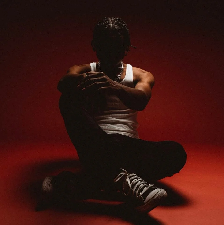 Fayzone - Red.jpg