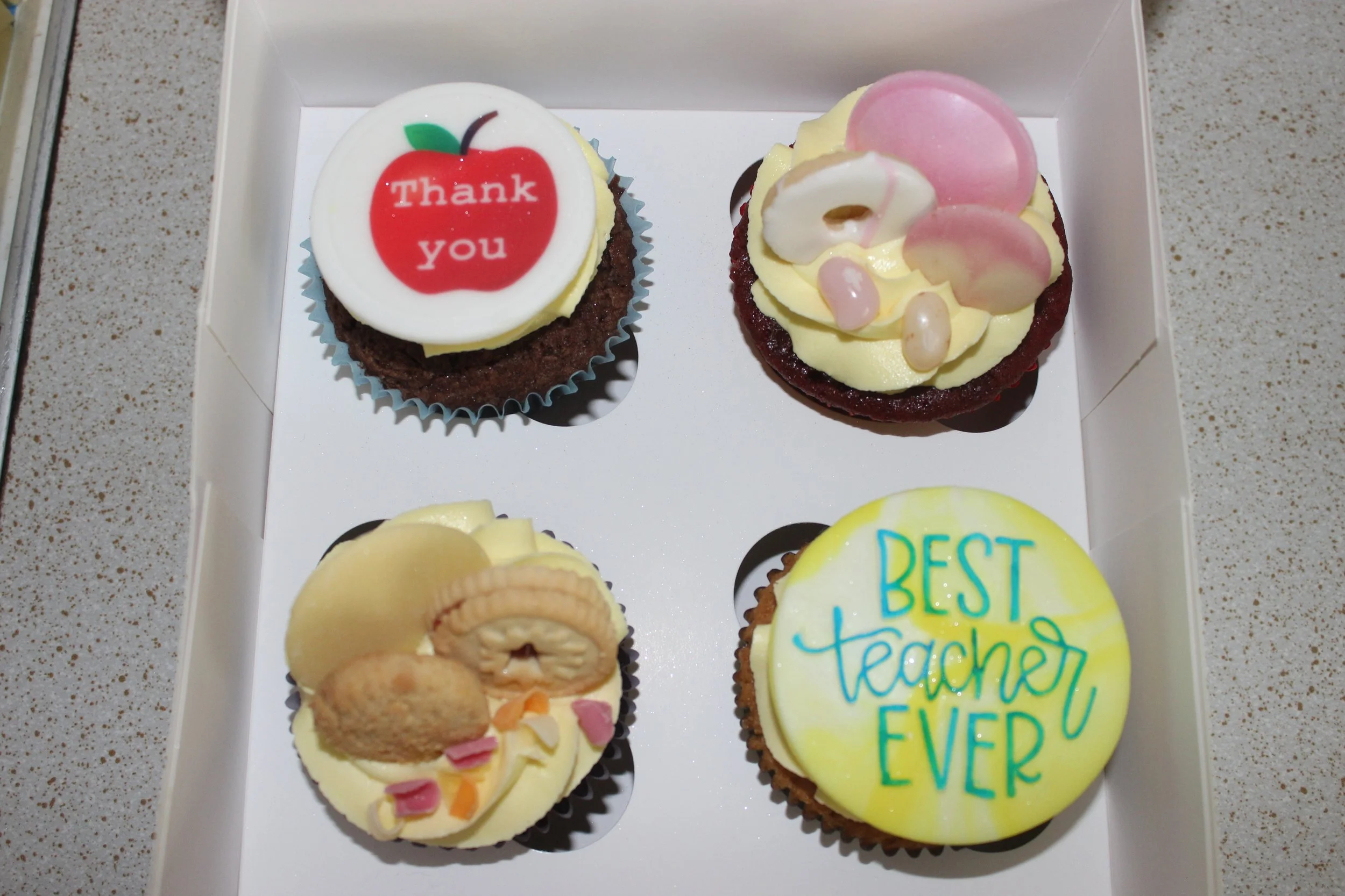 4 Cupcake Box