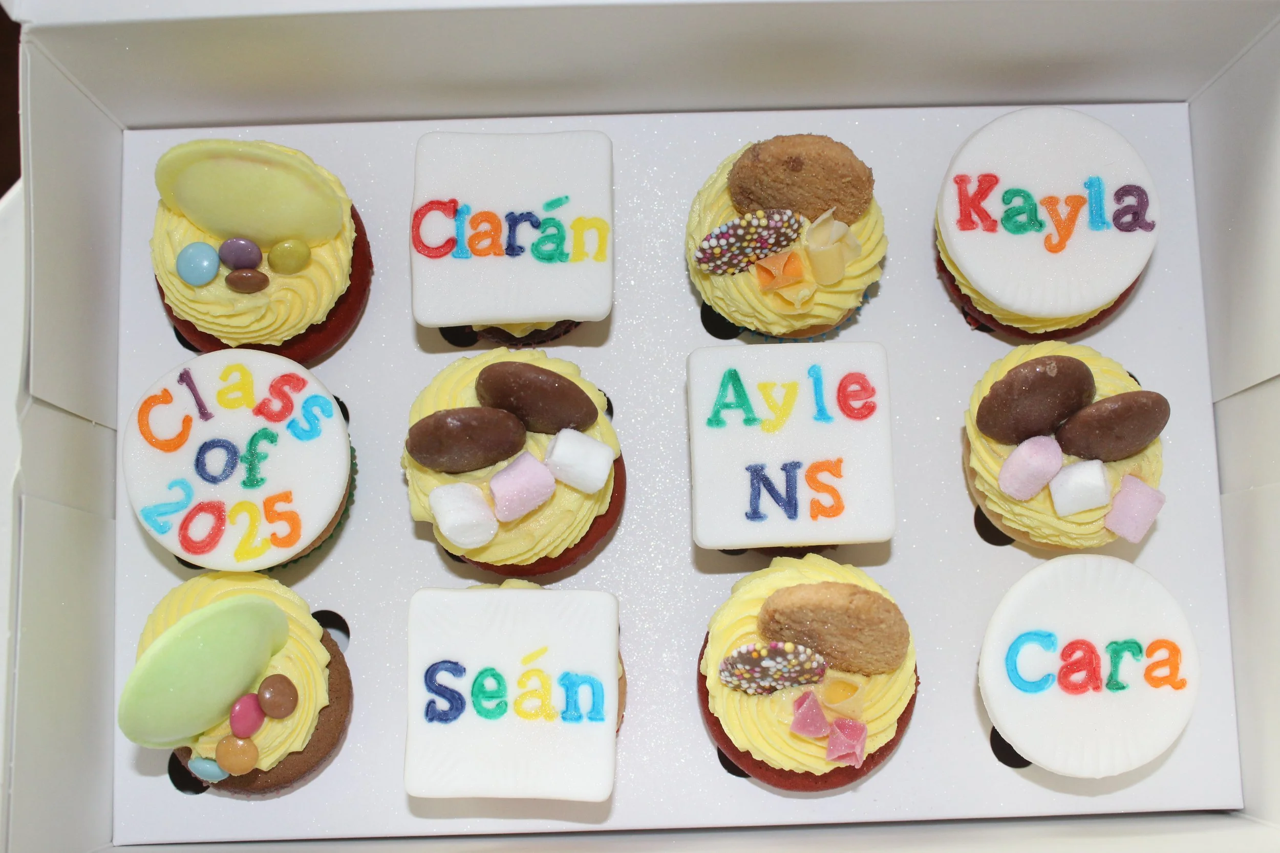 12 Mini Cupcake Box