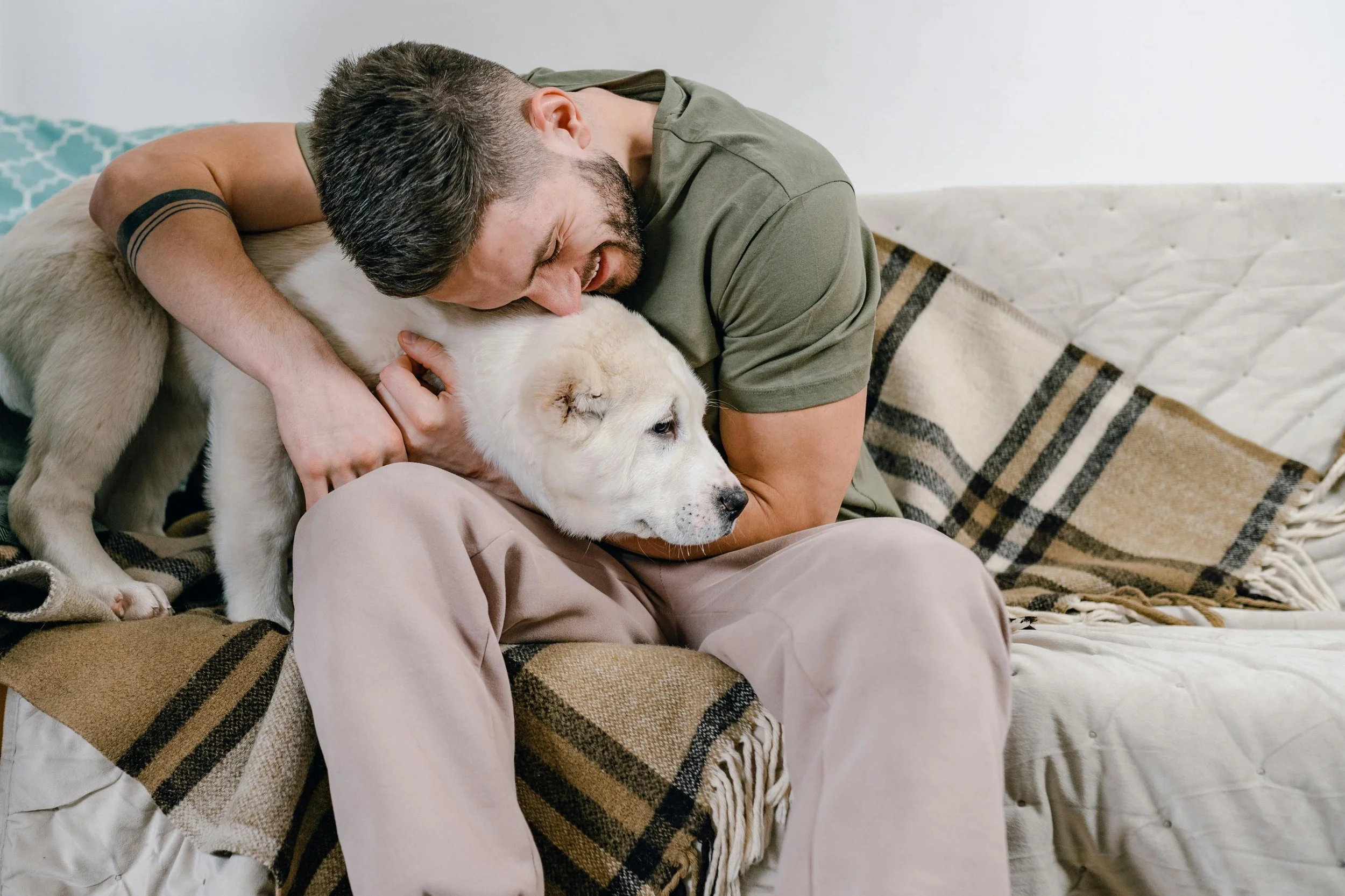 The Human Side of Living With A Reactive or Aggressive Dog
