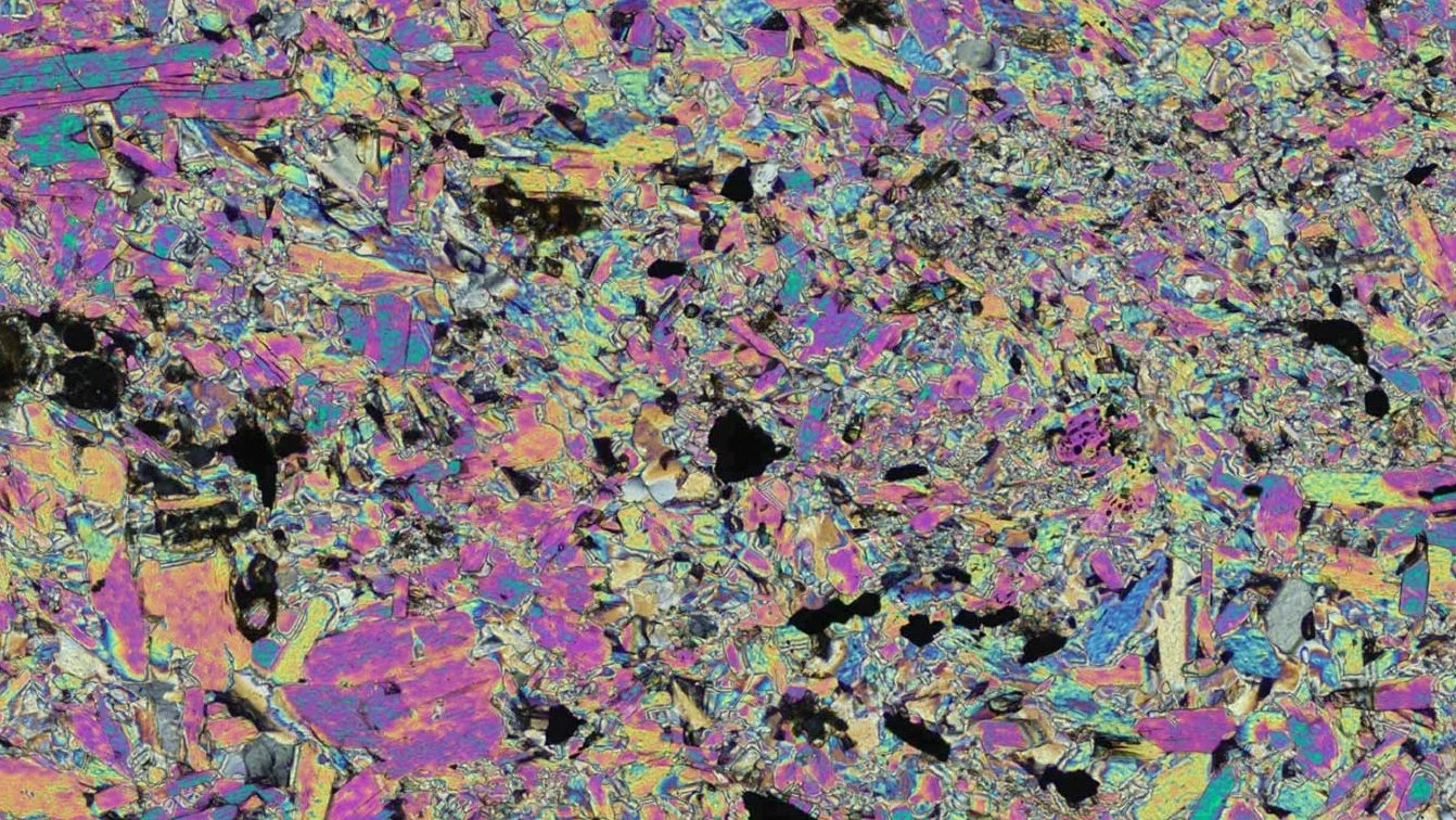 Scanner Circular pol.jpg