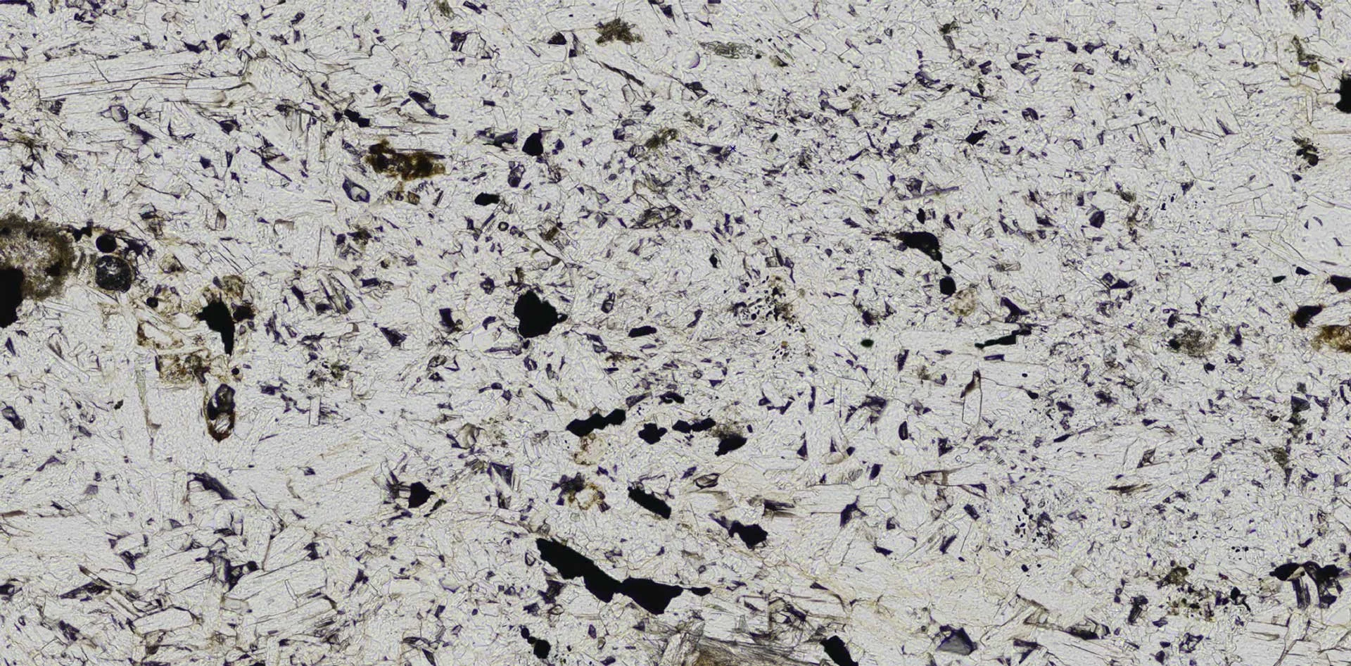 Scanner plane pol.jpg