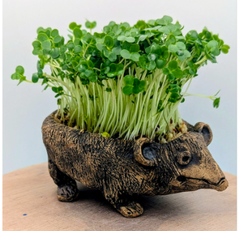 Screenshot 2025-12-27 at 10.01.41.png