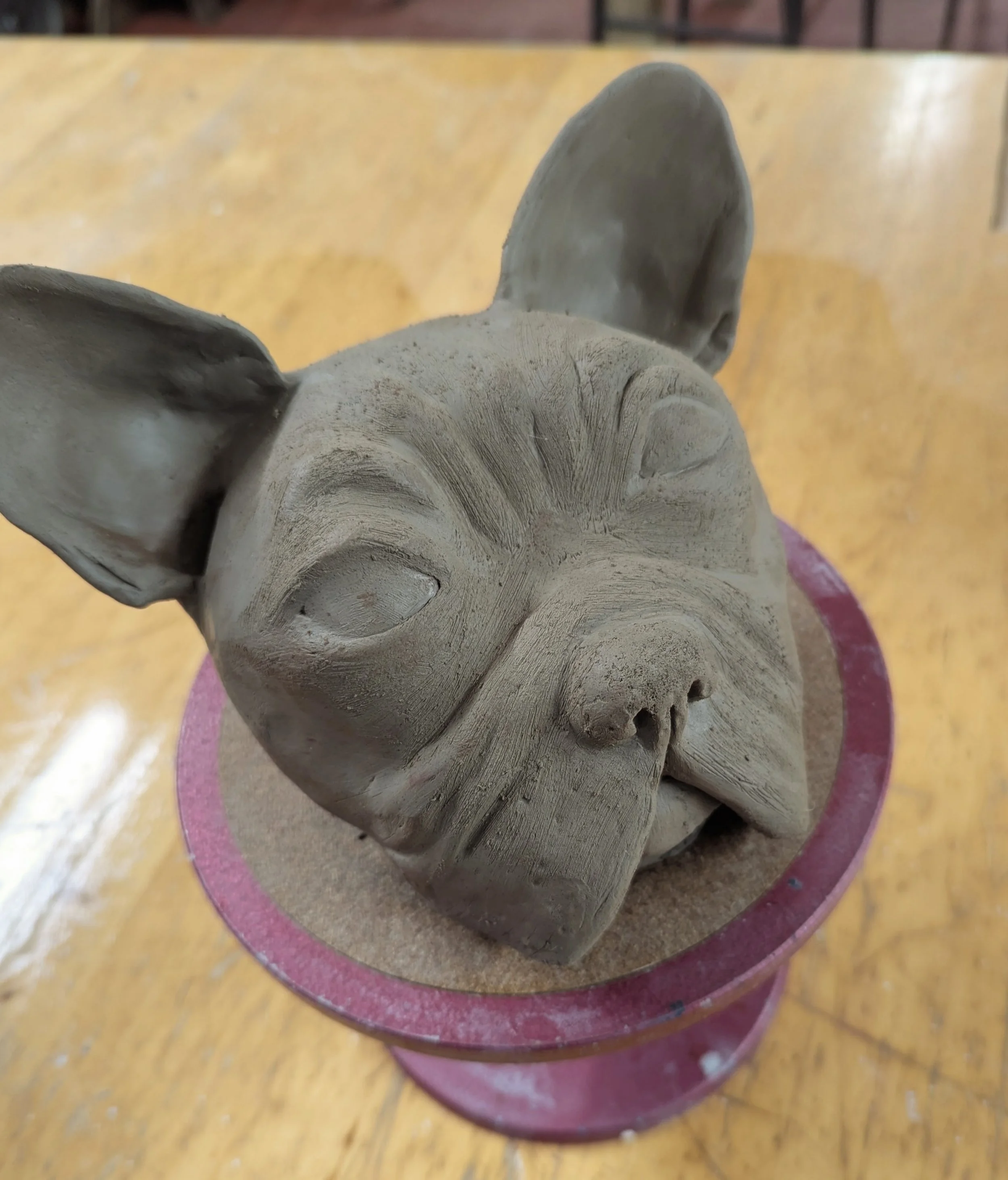 original_2032a513-6523-459a-8118-6d5ef0d60f8f_PXL_20250221_152001649 (1).jpg