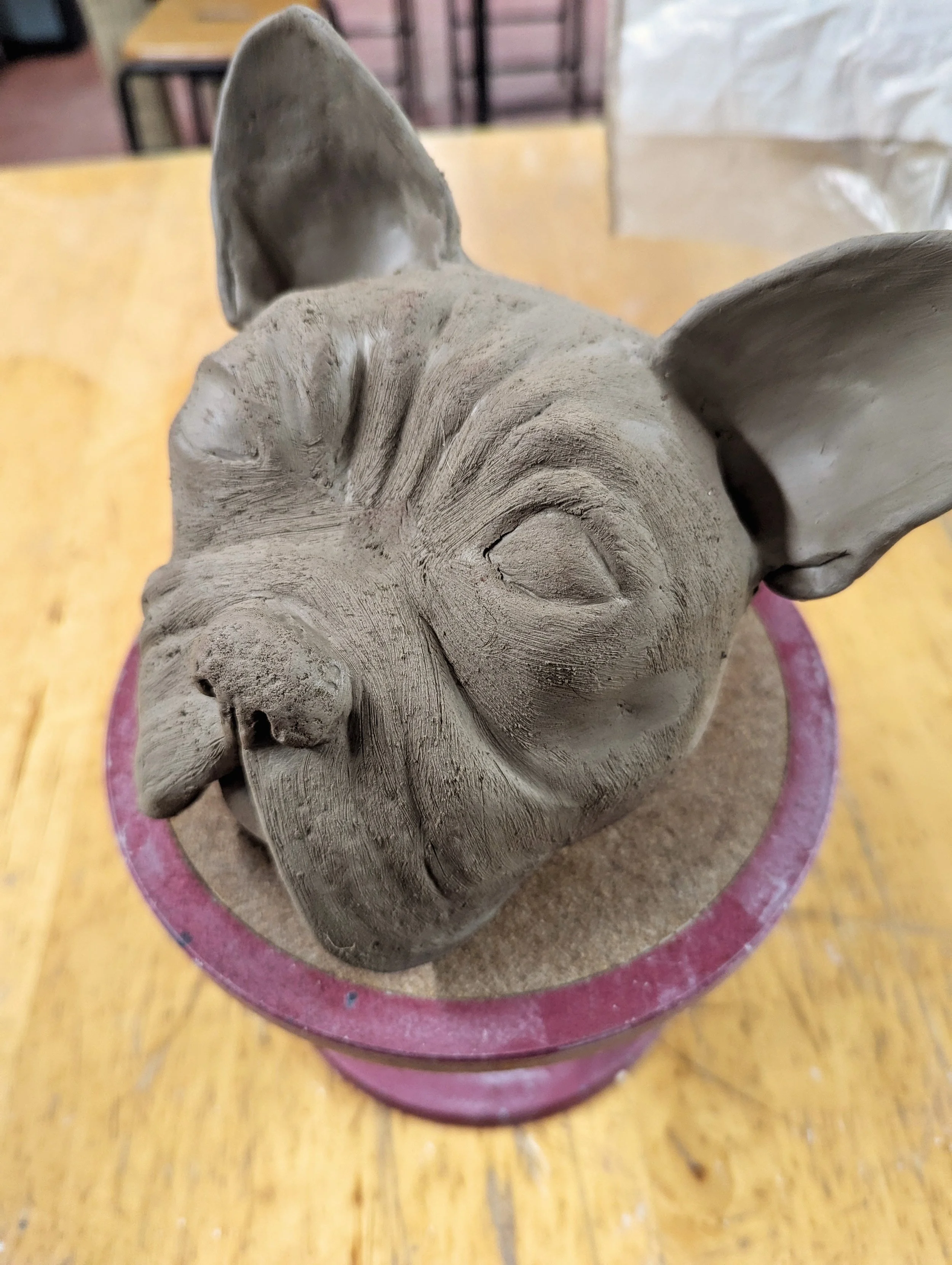 Pippa doggy workshop.jpg