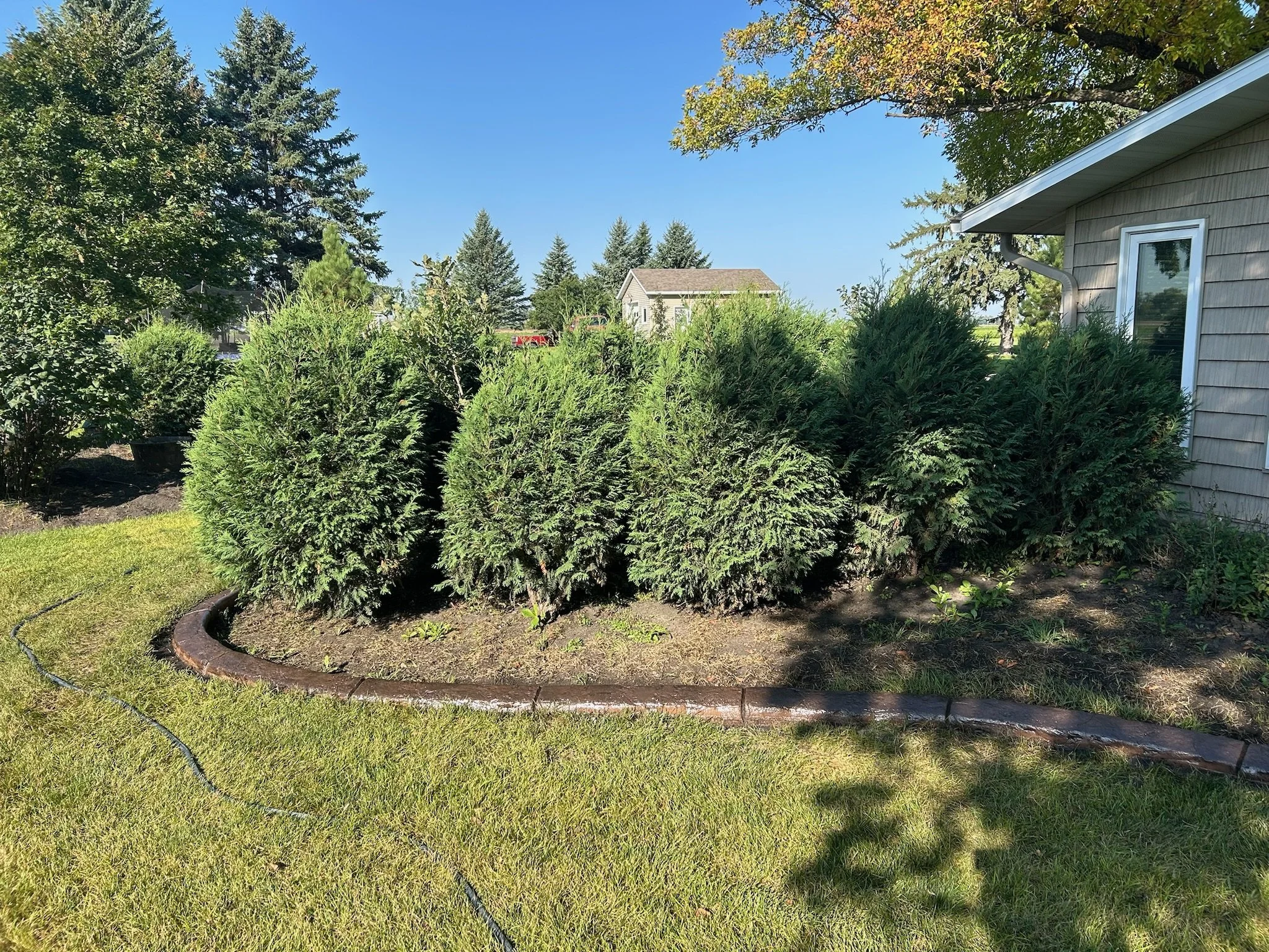 Landscaping Enhancements